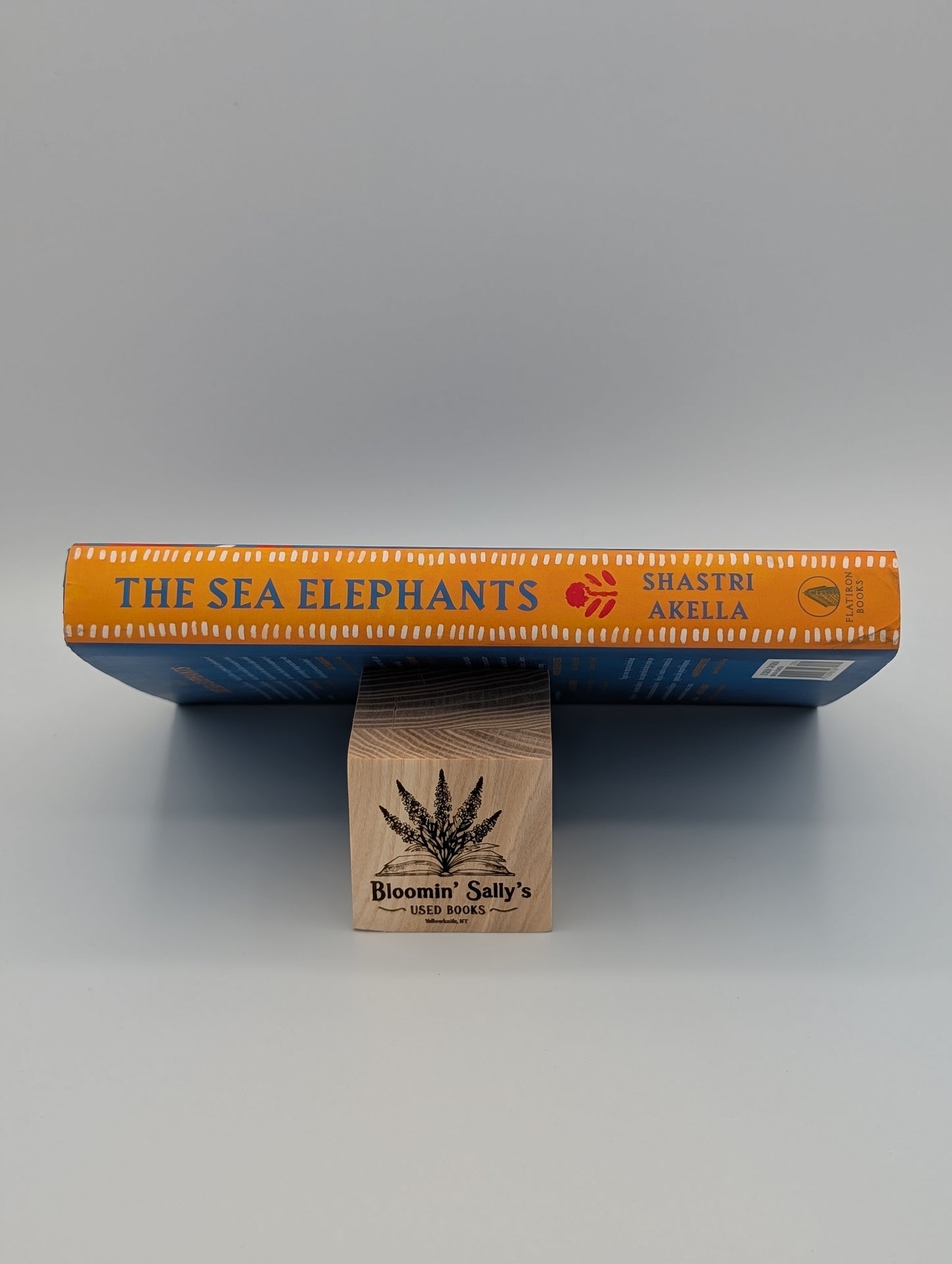 Les éléphants de mer : un roman