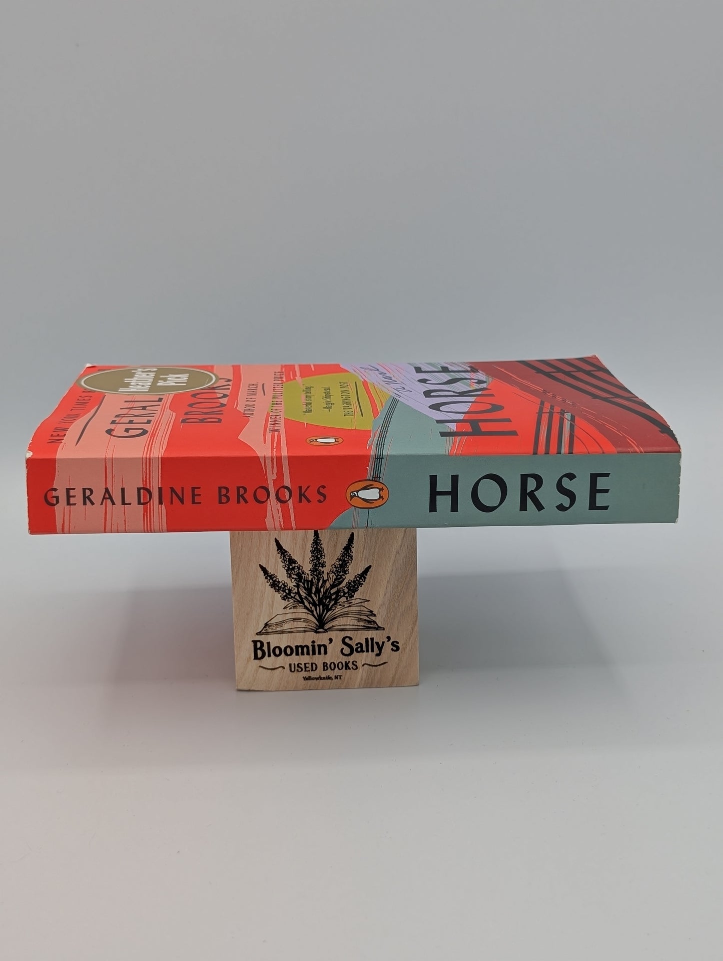 Cheval : un roman