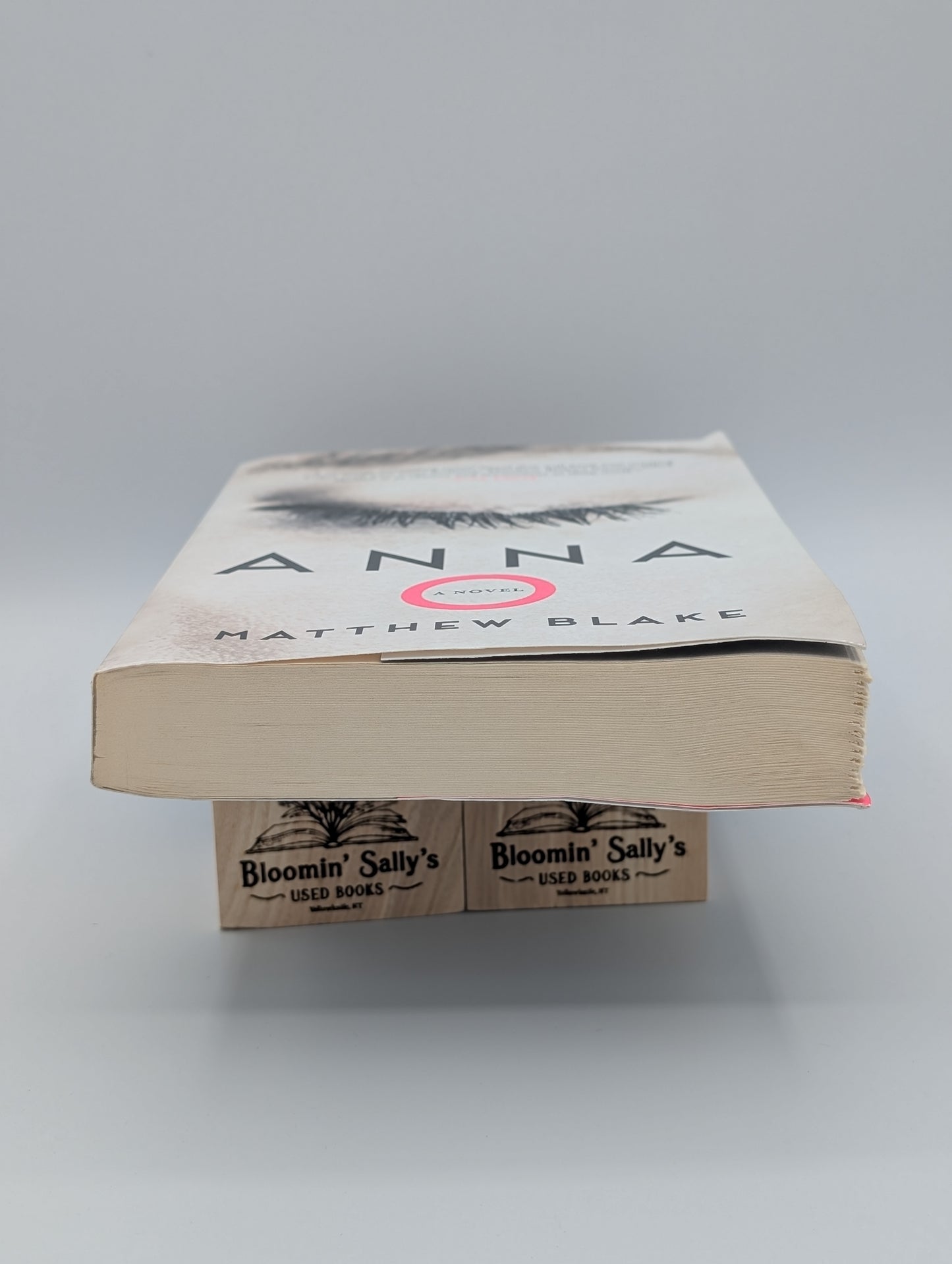 Anna O: A Novel (Good)