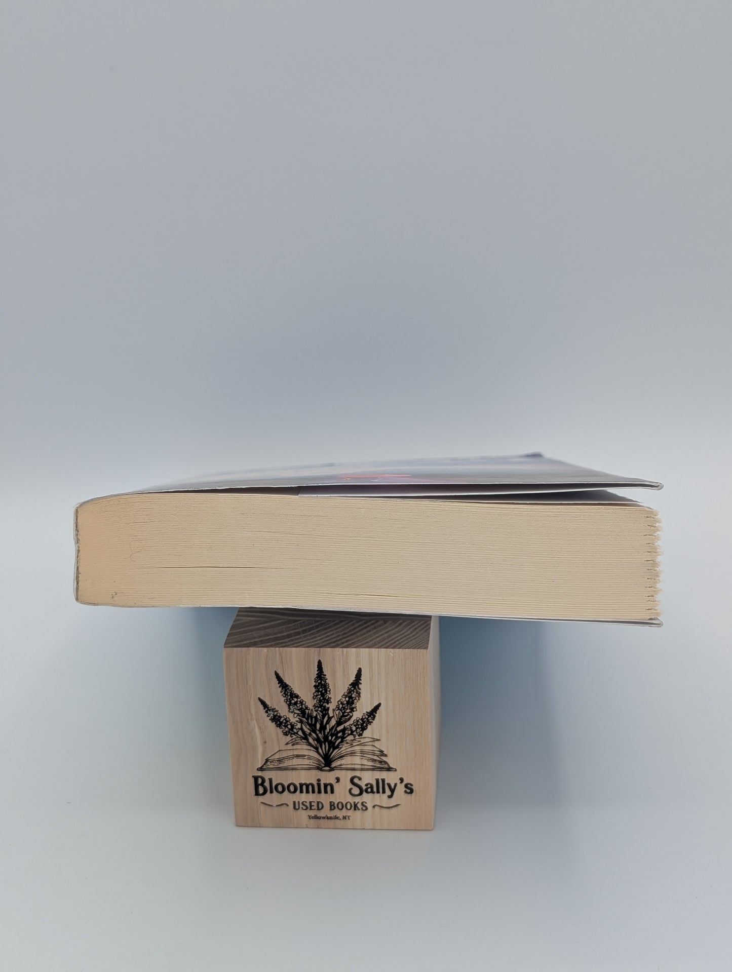La Bibliothèque des légendes : un roman