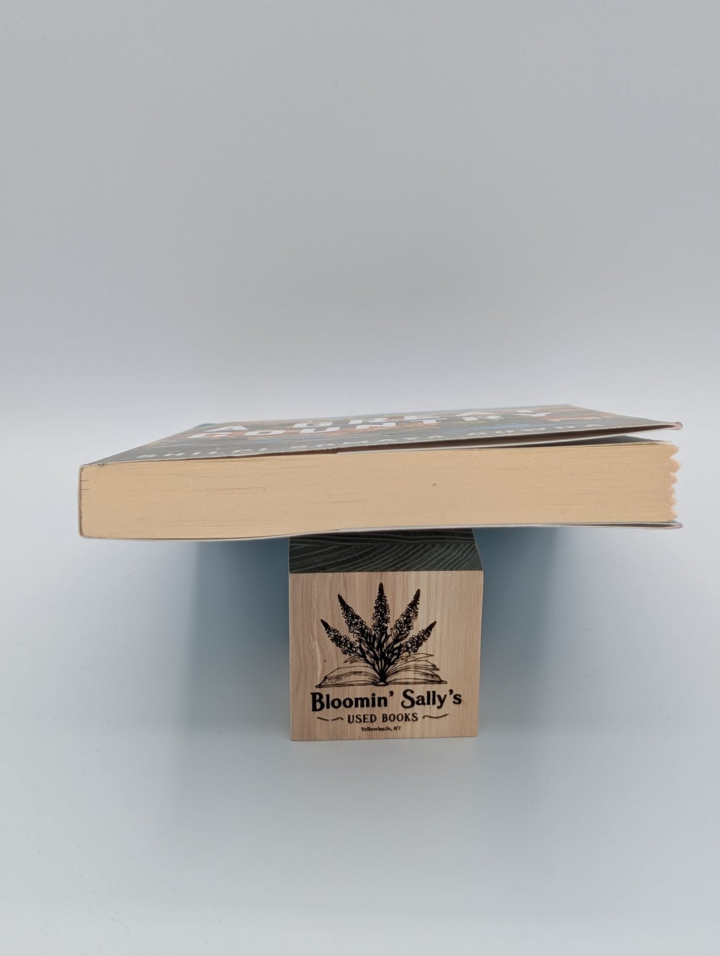 Un grand pays (Livre de poche)