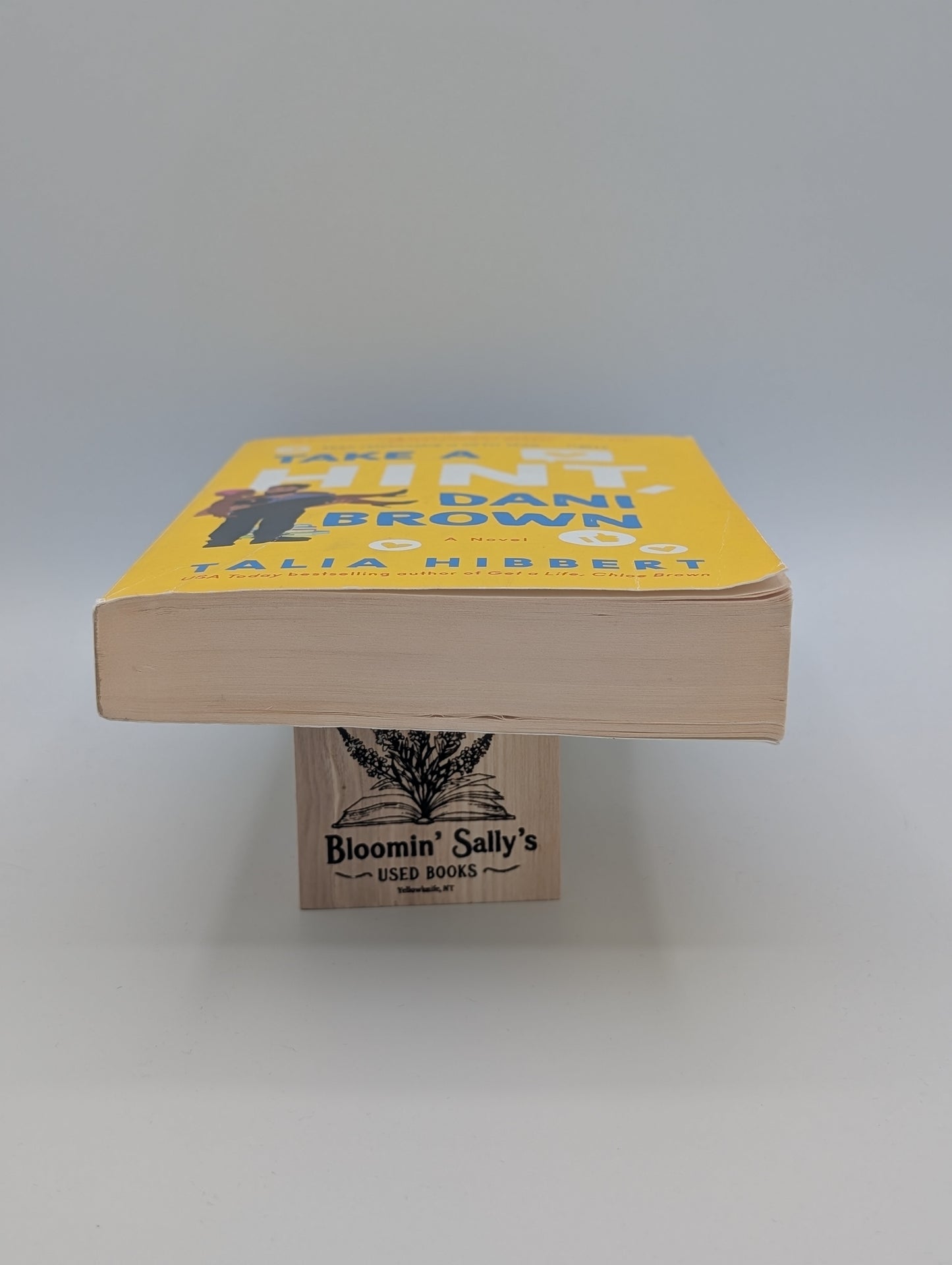 Prends un indice, Dani Brown : Un roman (Les sœurs Brown, 2)