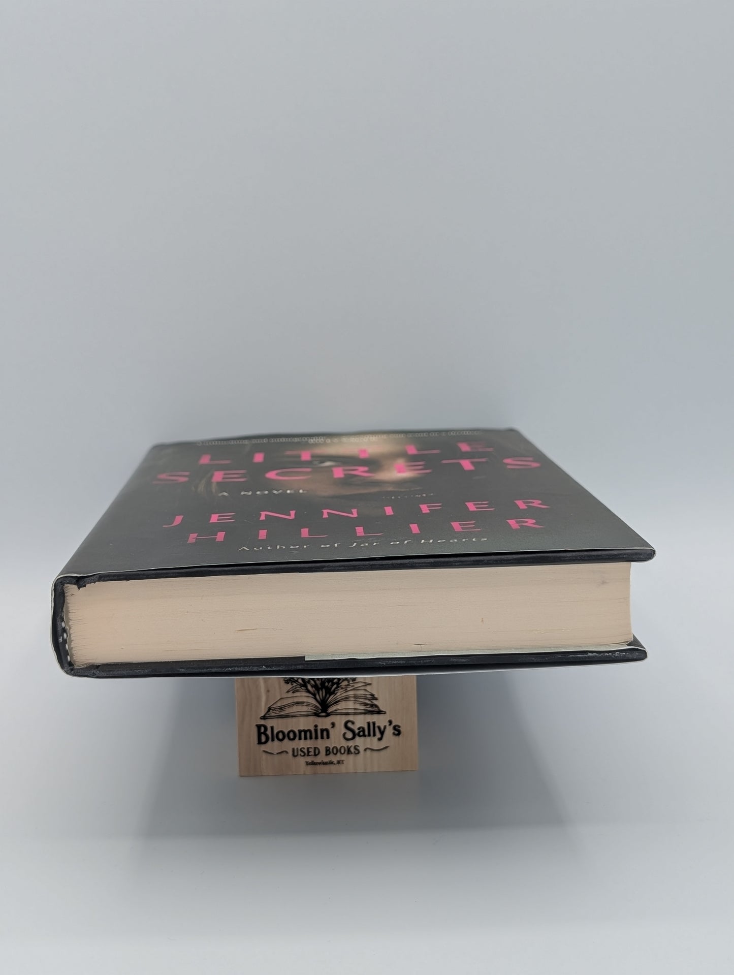 Petits secrets : un roman