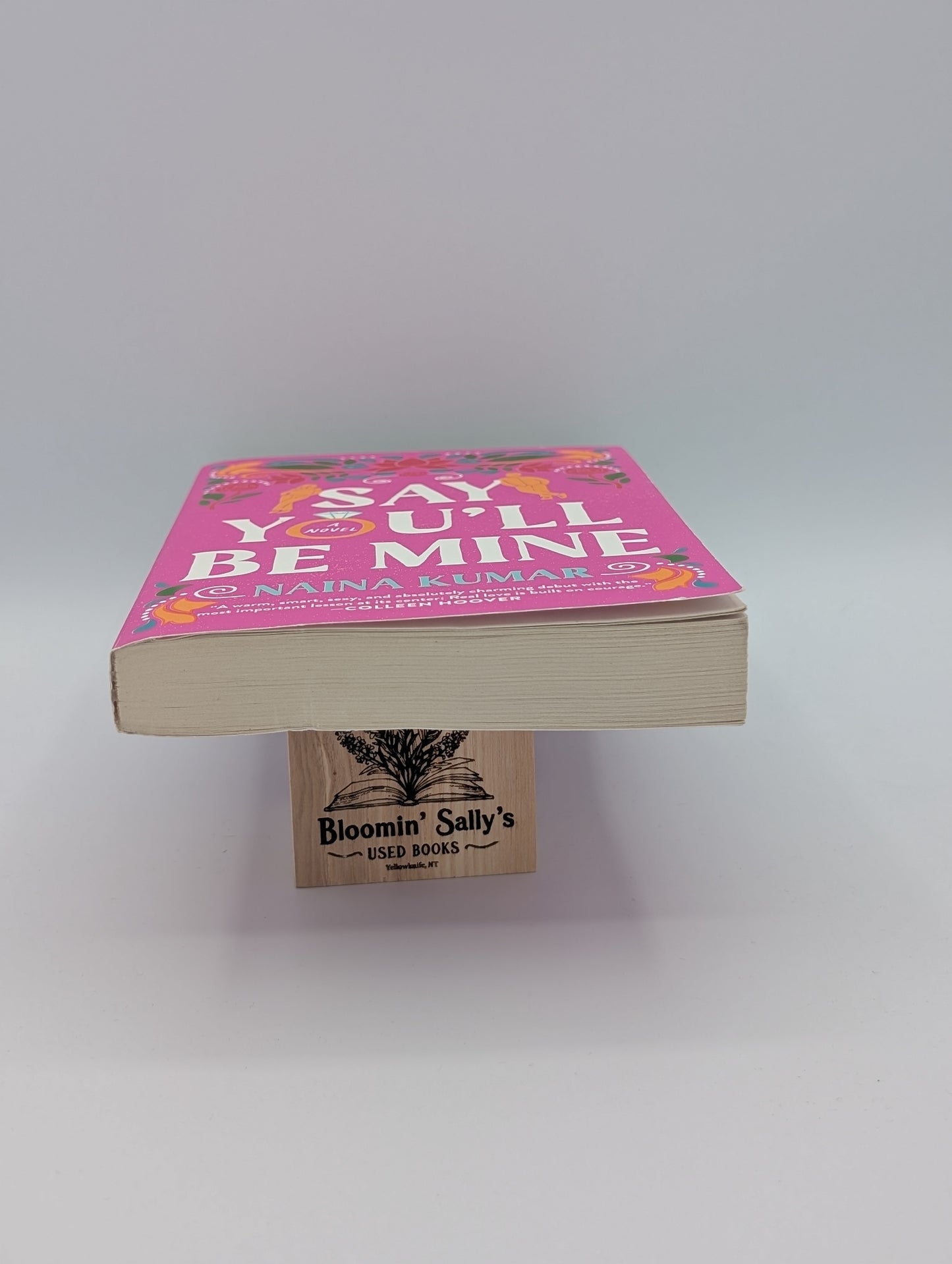 Say You'll Be Mine: A Novel
