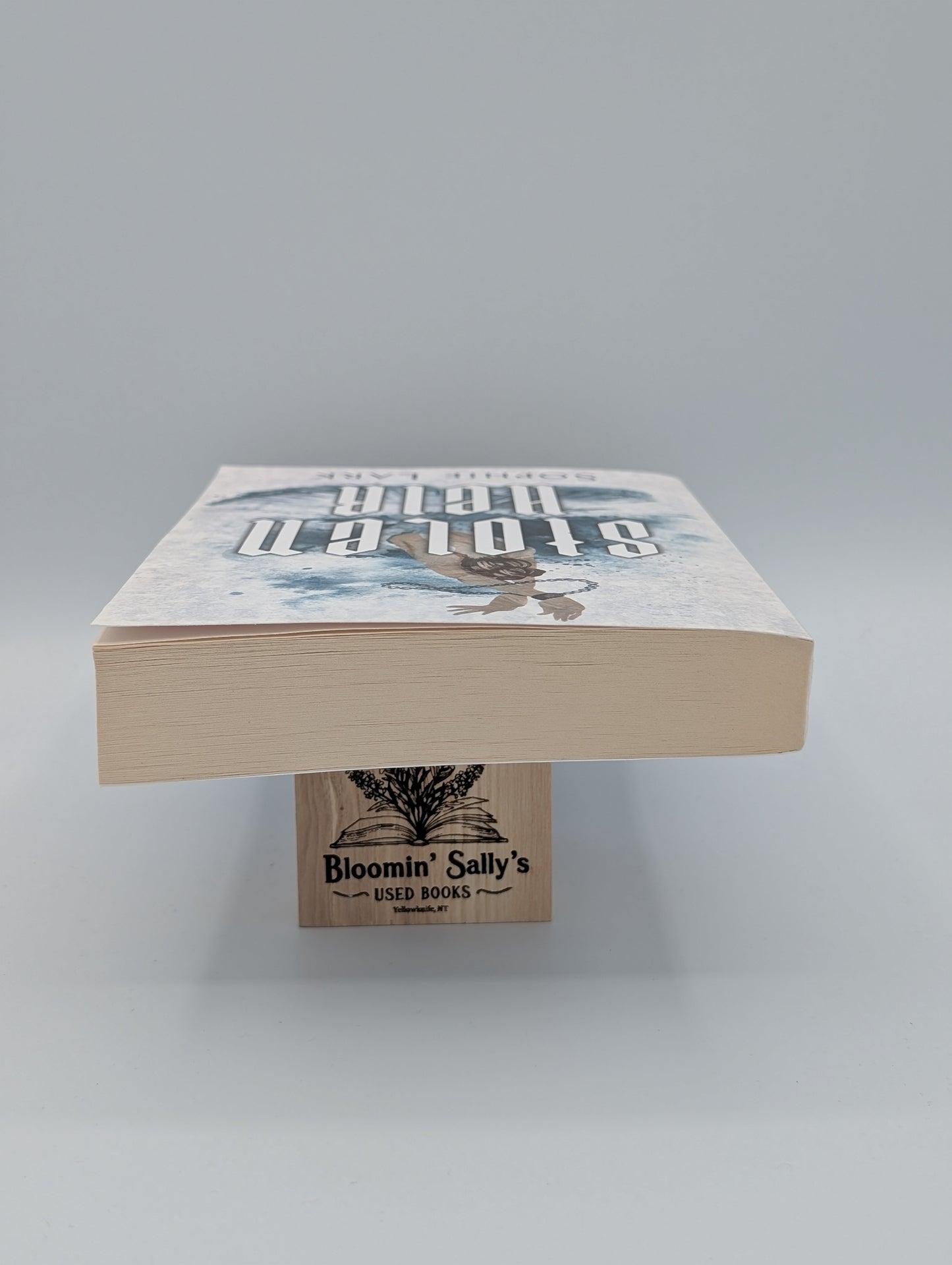 L'Héritier volé : Édition illustrée (Droit de naissance brutal)
