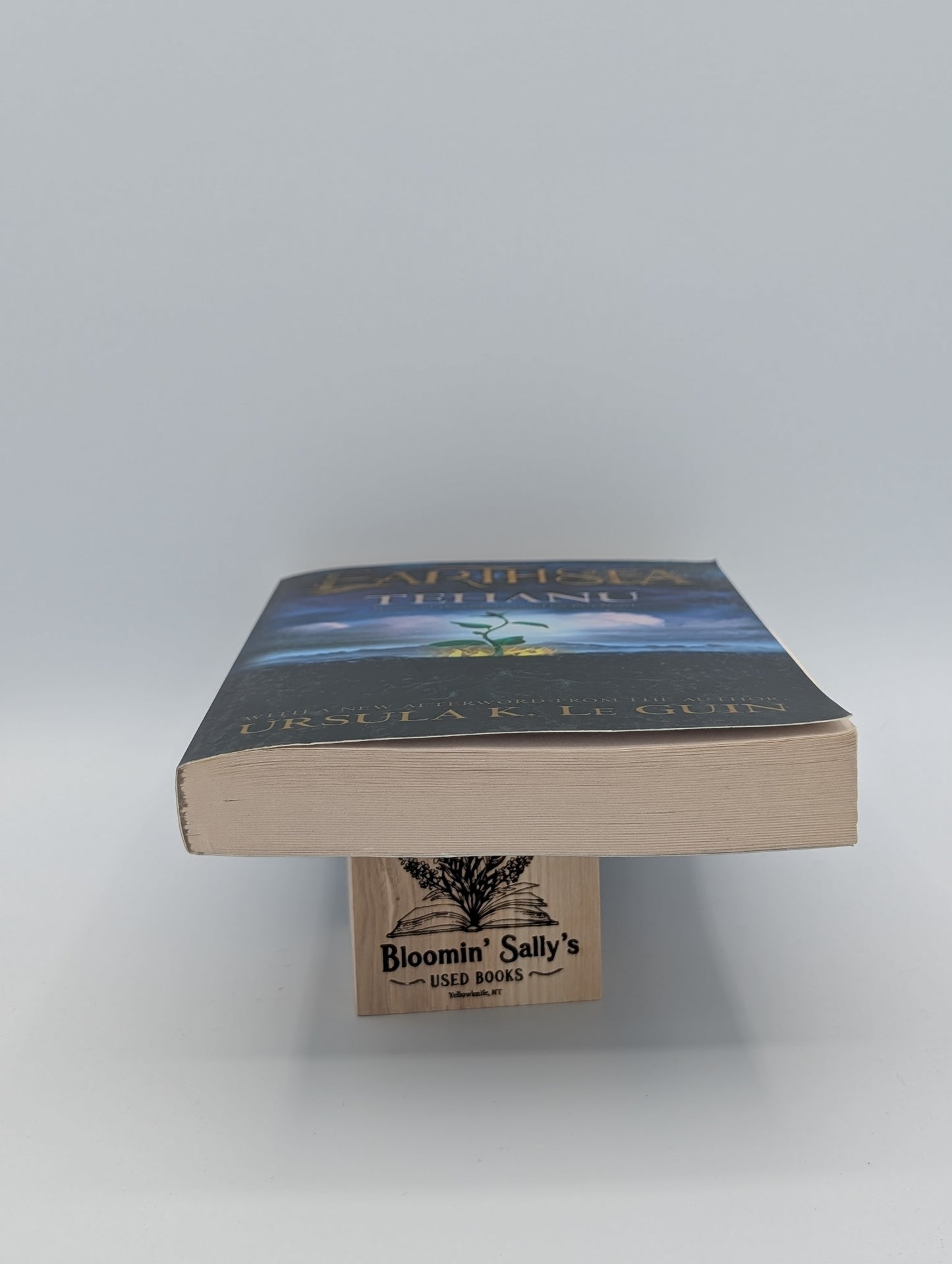 Tehanu (4) (Earthsea Cycle)