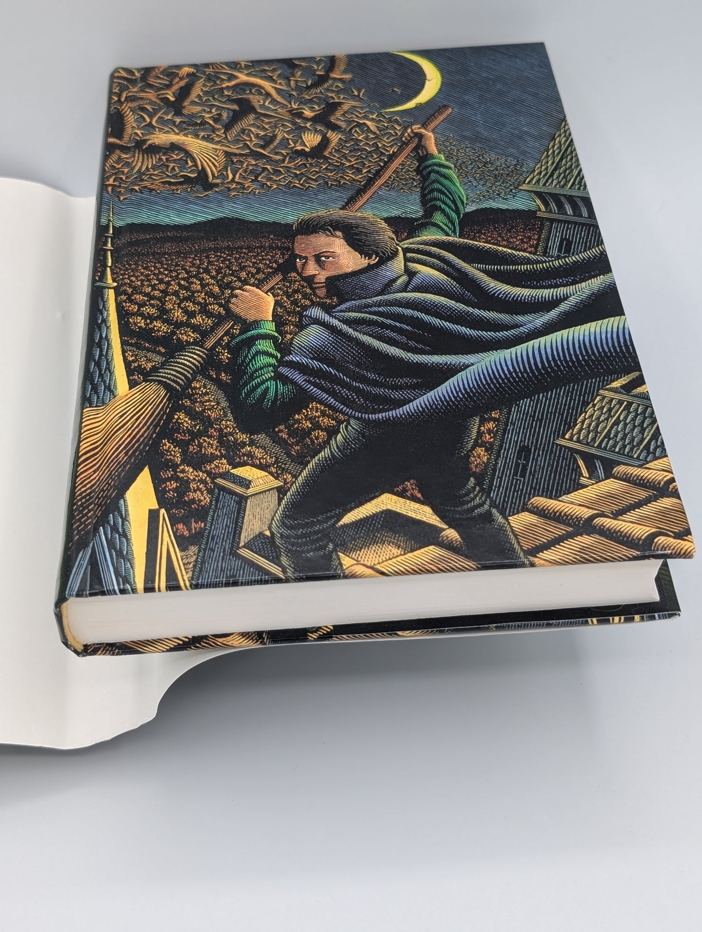 Fils d'une sorcière : un roman
