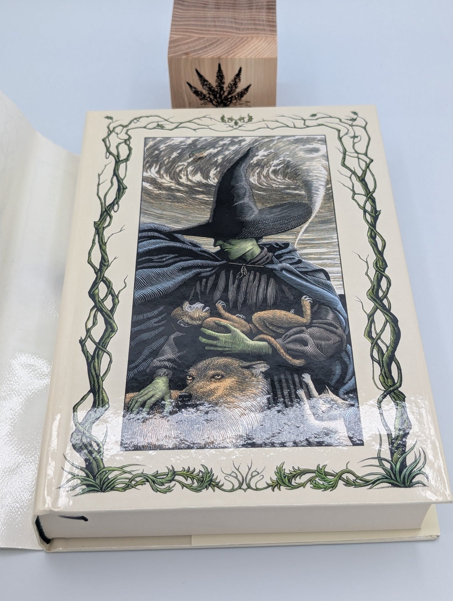La Méchante Sorcière de l'Ouest : La Vie et l'Époque de la Méchante Sorcière de l'Ouest (Les Années Méchantes, 1)