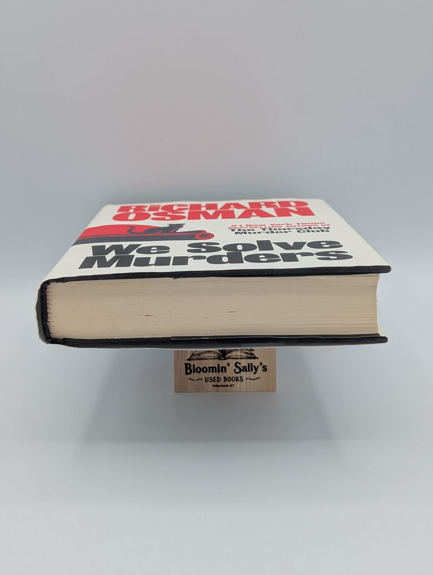 We Solve Murders: A Novel