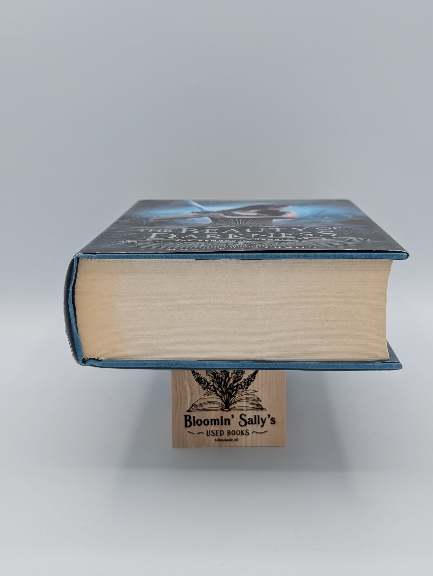 La beauté des ténèbres : Les Chroniques des vestiges, Livre trois (Les Chroniques des vestiges, 3)