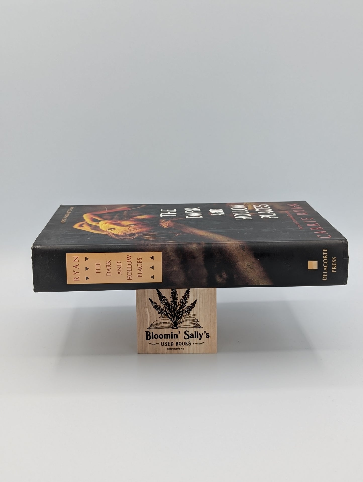 Les lieux sombres et creux (La forêt des mains et des dents, livre 3 - Le bien)