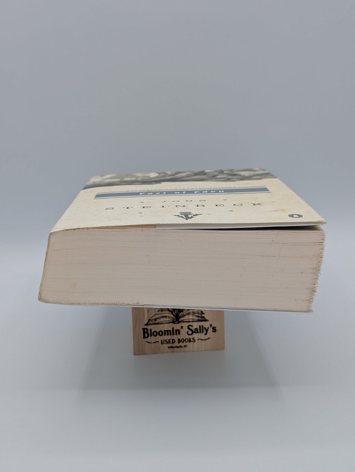 East of Eden, John Steinbeck Centennial Edition