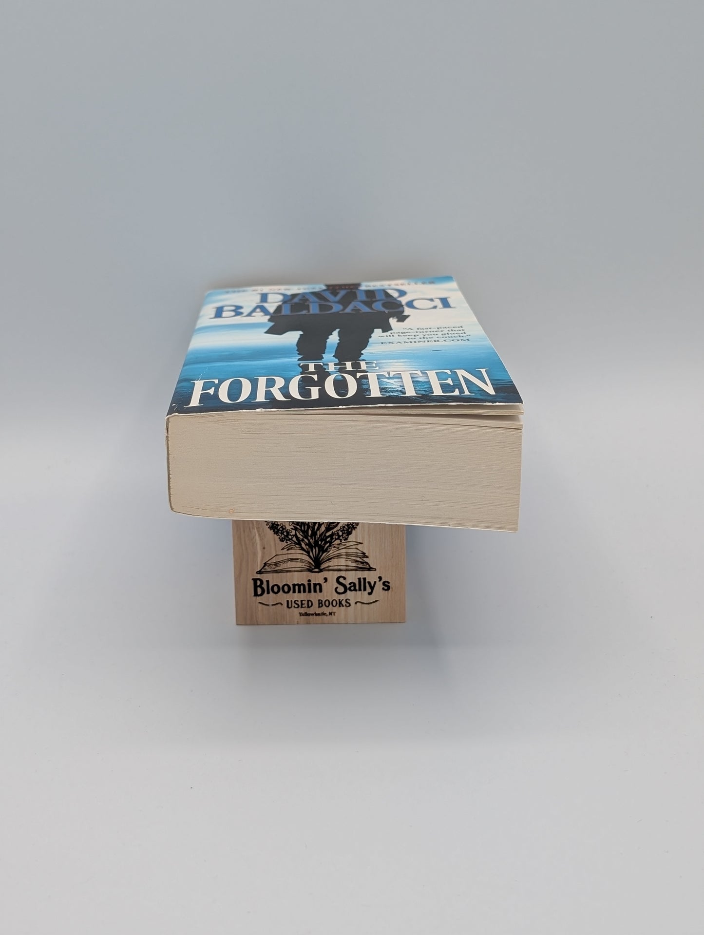 The Forgotten (John Puller)