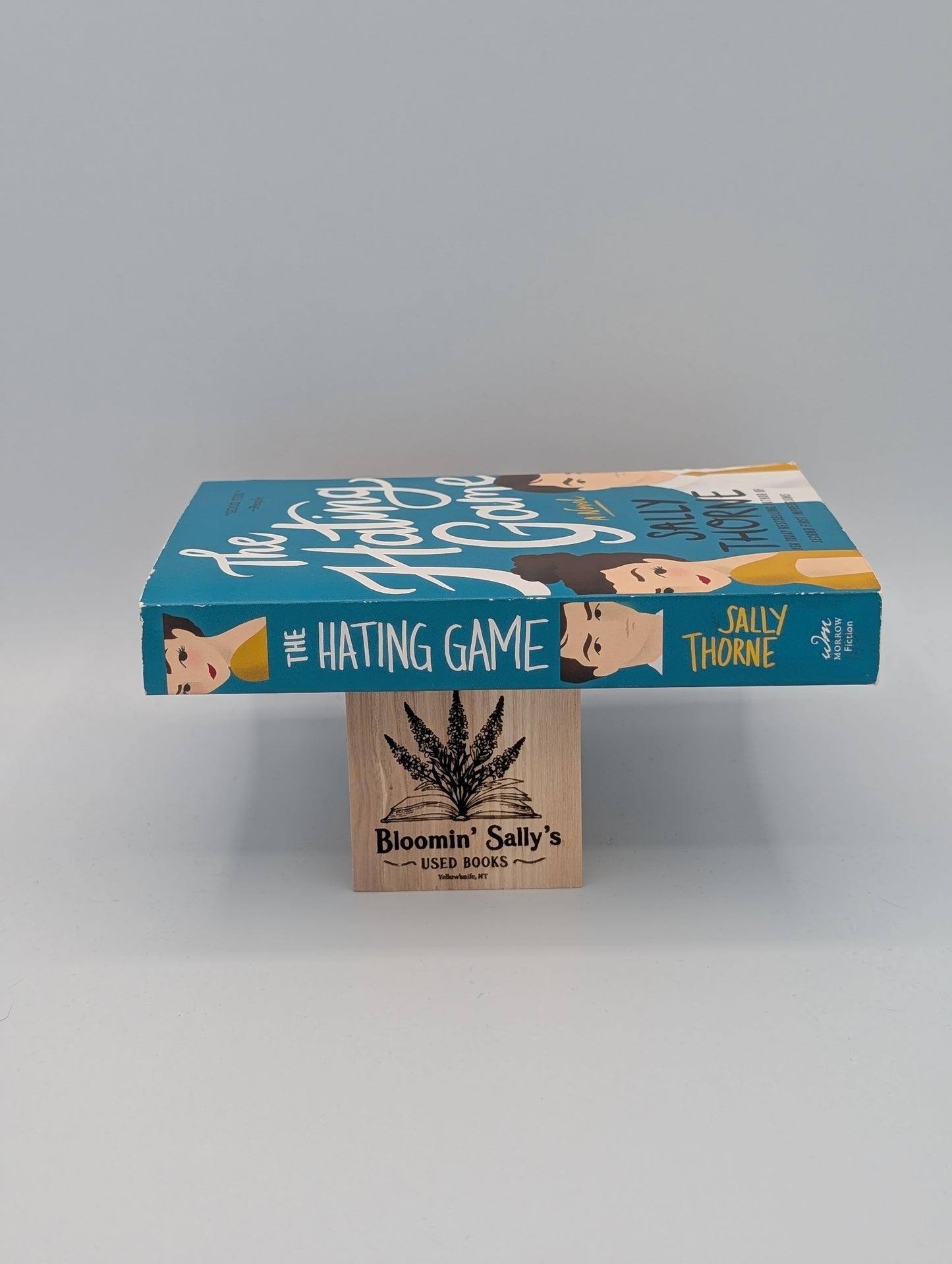 Le jeu de la haine : un roman