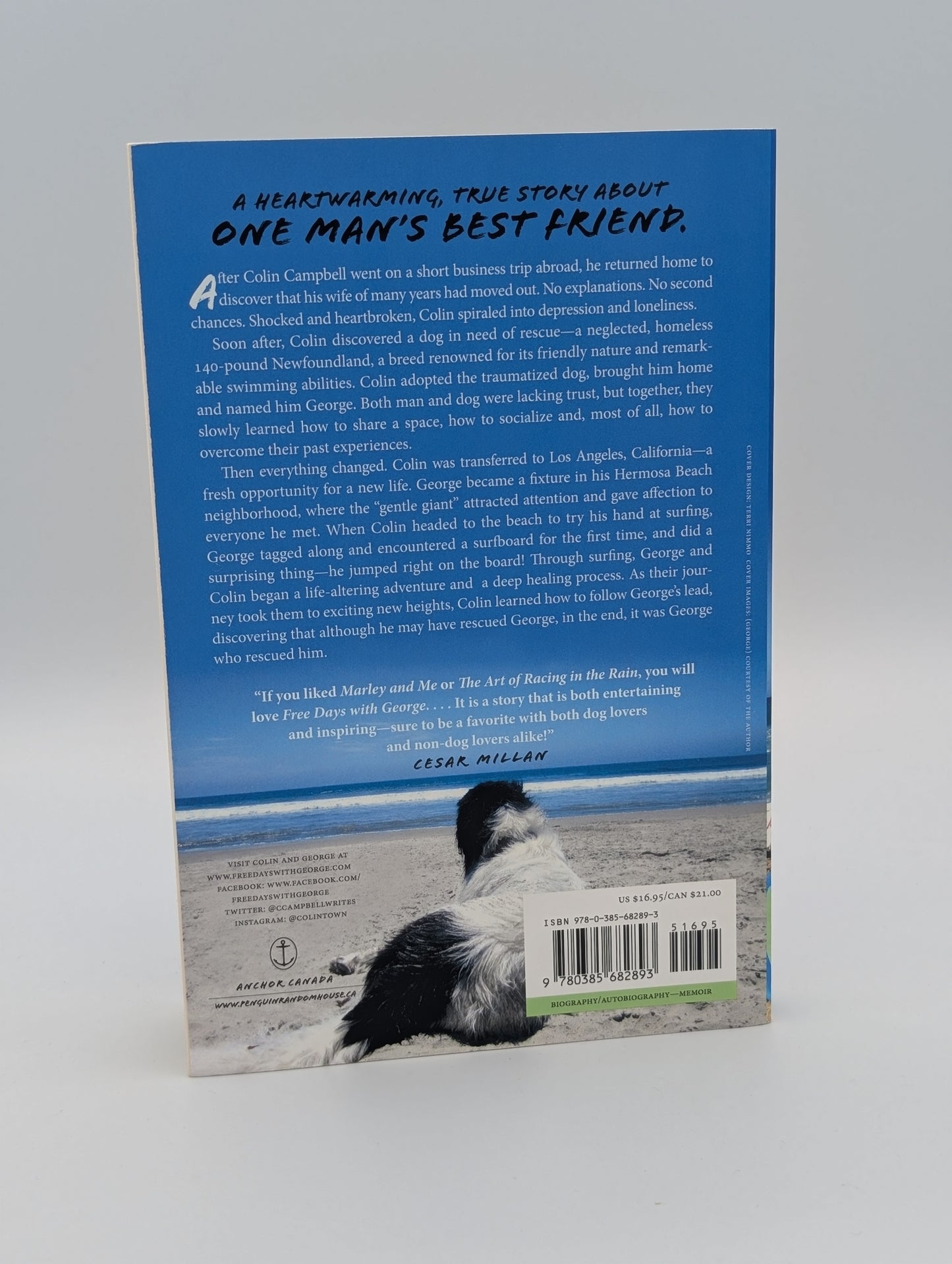 Free Days With George: Learning Life's Little Lessons from One Very Big Dog