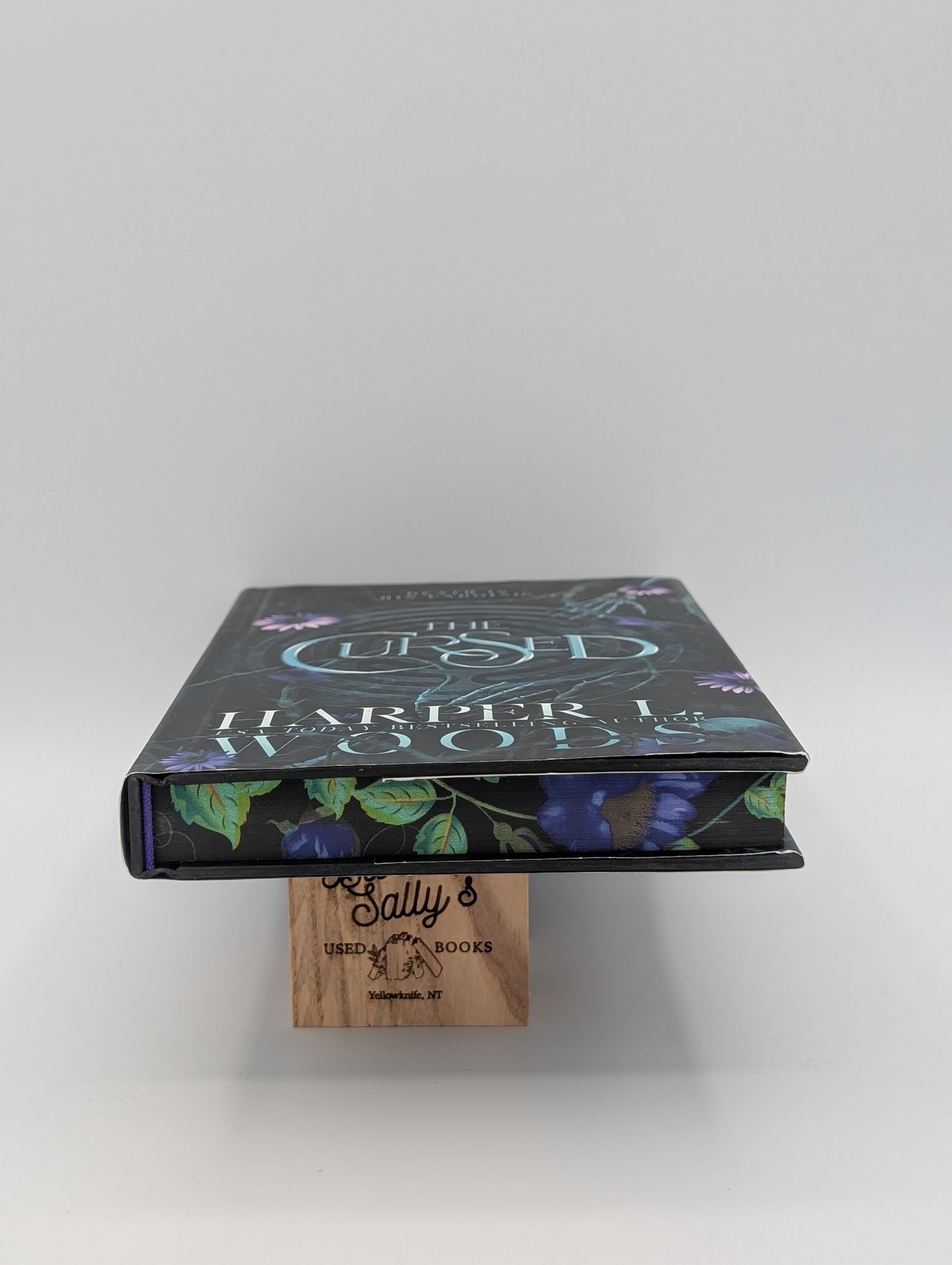 The Cursed: Special Edition (Coven of Bones, 2)