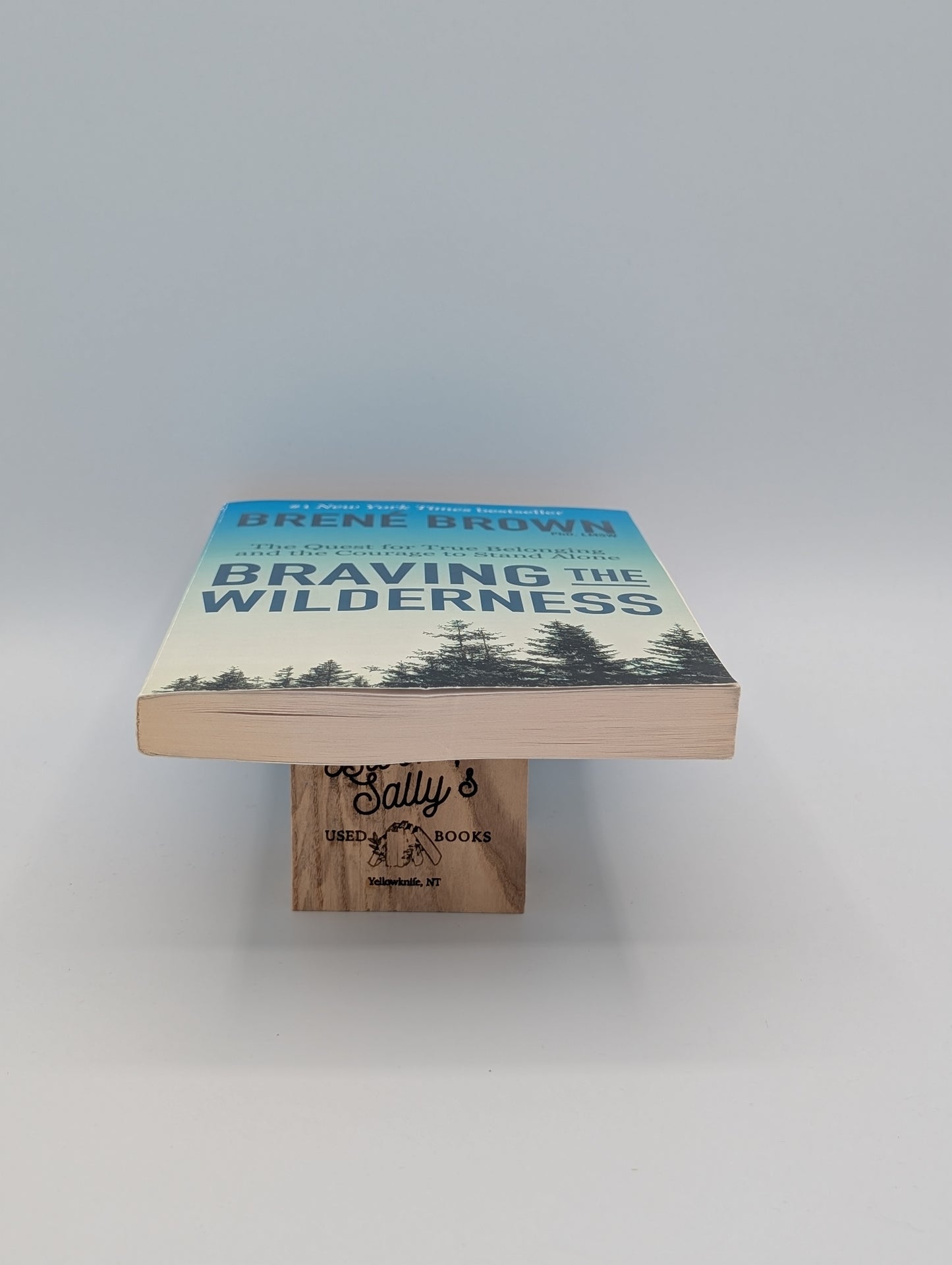 Affronter la nature sauvage : Le club de lecture de Reese : La quête d'une véritable appartenance et le courage de rester seul