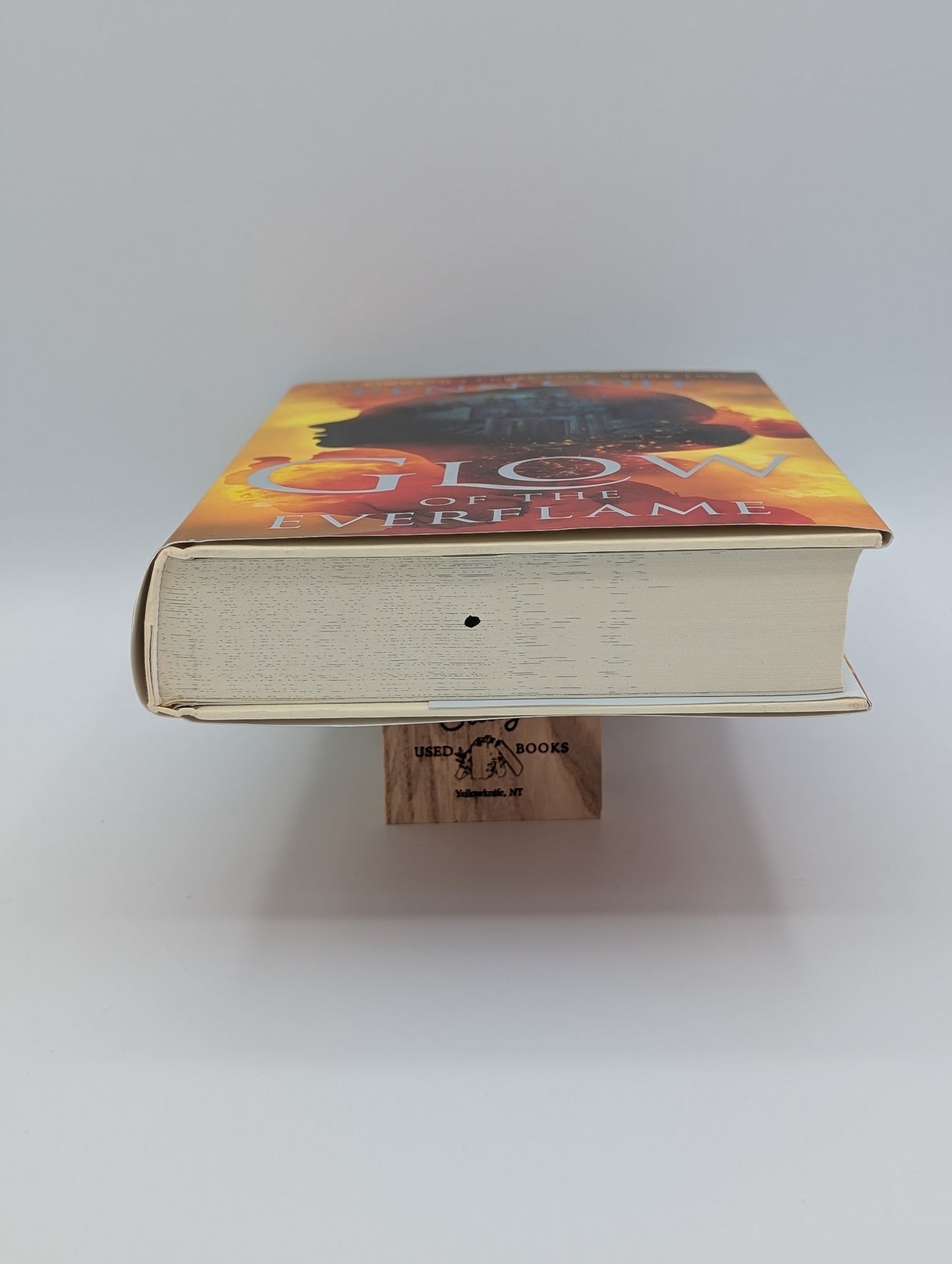 Lueur de la Flamme Éternelle : Un Roman (2) (La Saga de la Malédiction des Kindred)