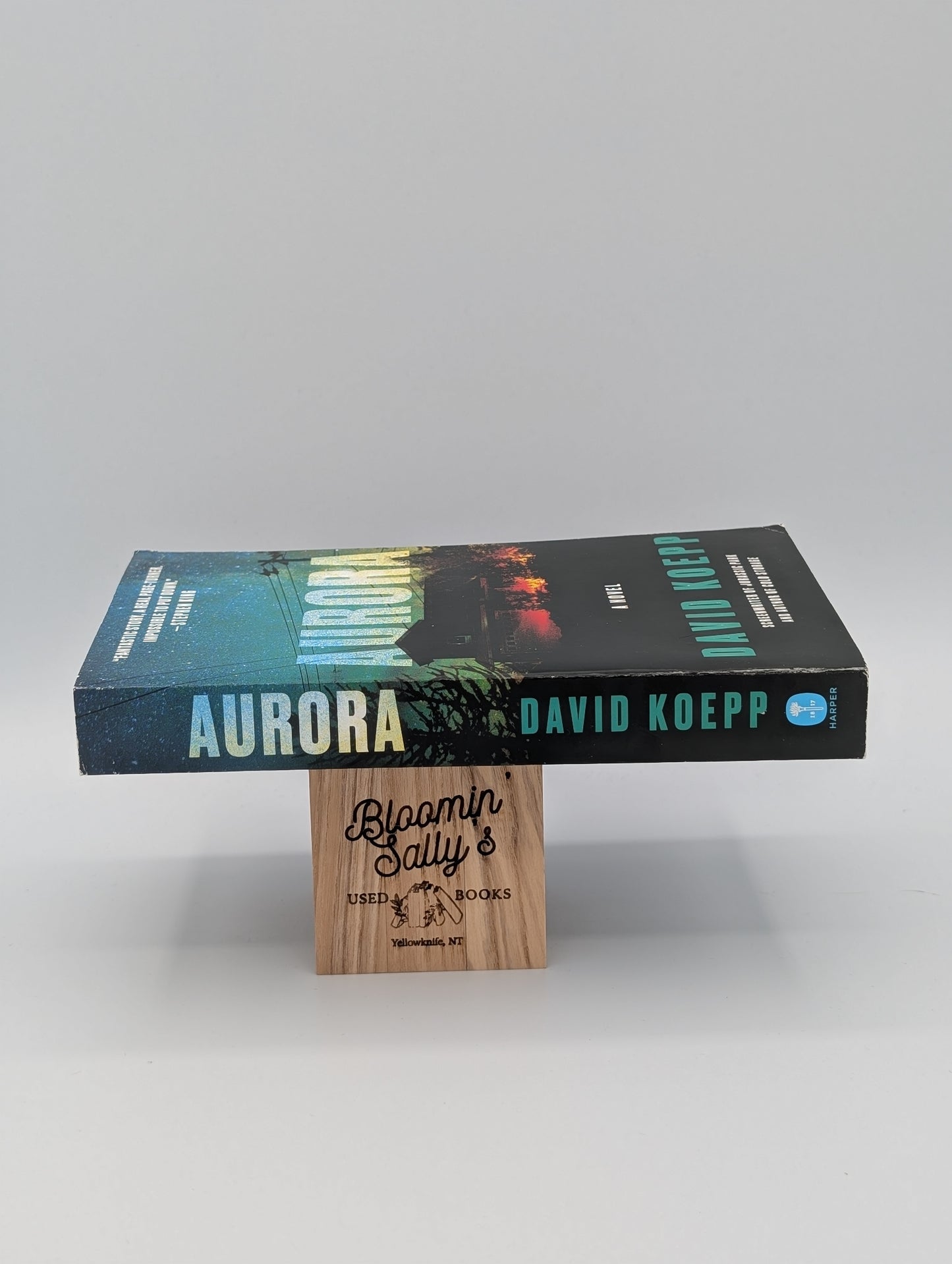Aurora : Un thriller d'horreur à concept fort pour les fans de Stephen King – Bientôt un film Netflix