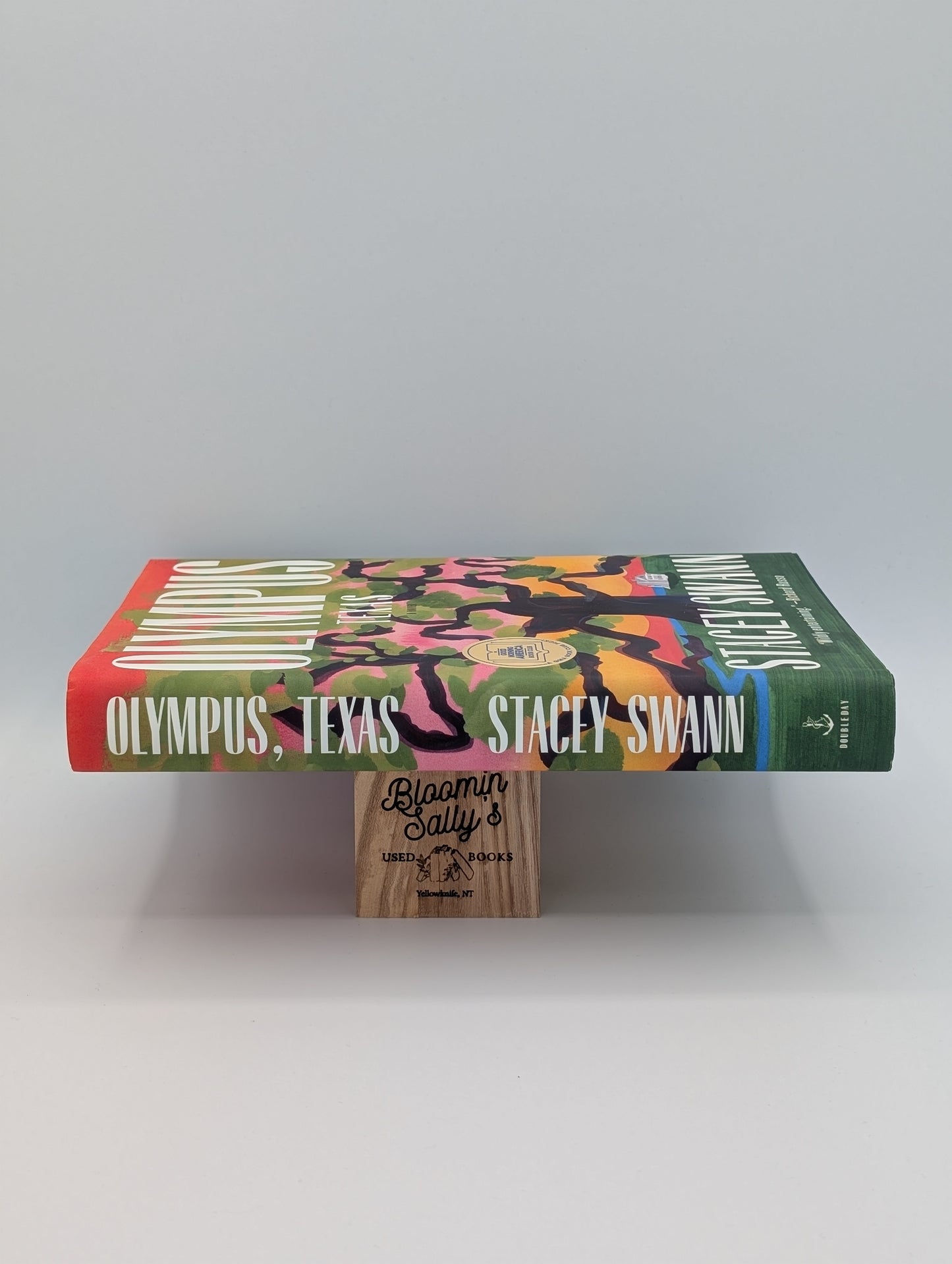 Olympus, Texas : Un roman