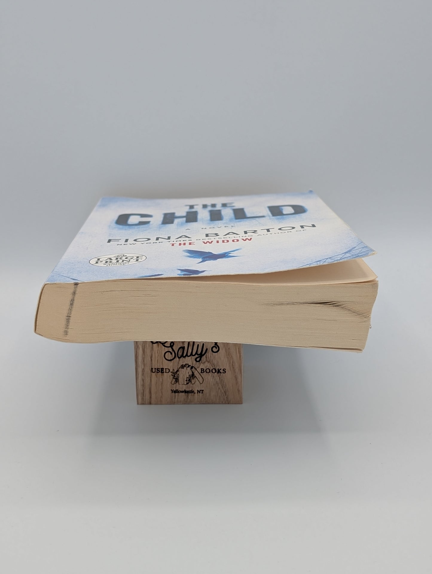 The Child (Large Print)