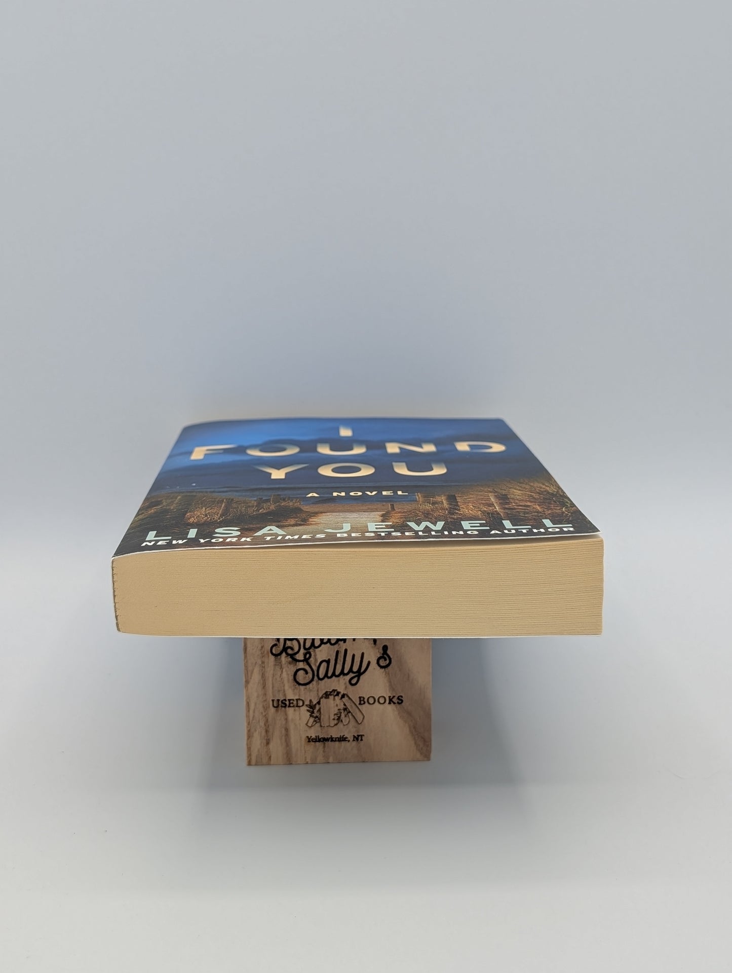 I Found You: A Novel