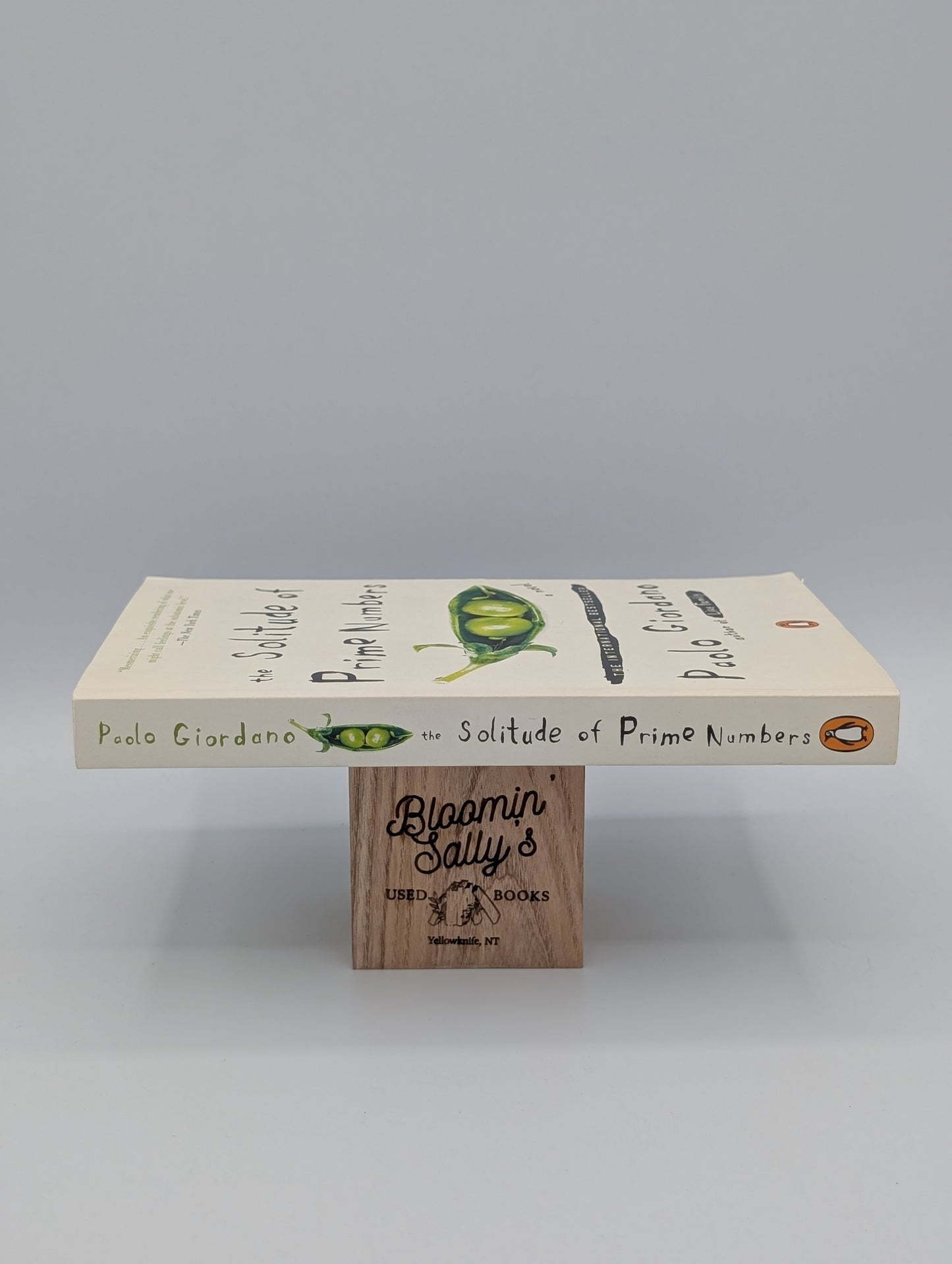 The Solitude of Prime Numbers: A Novel