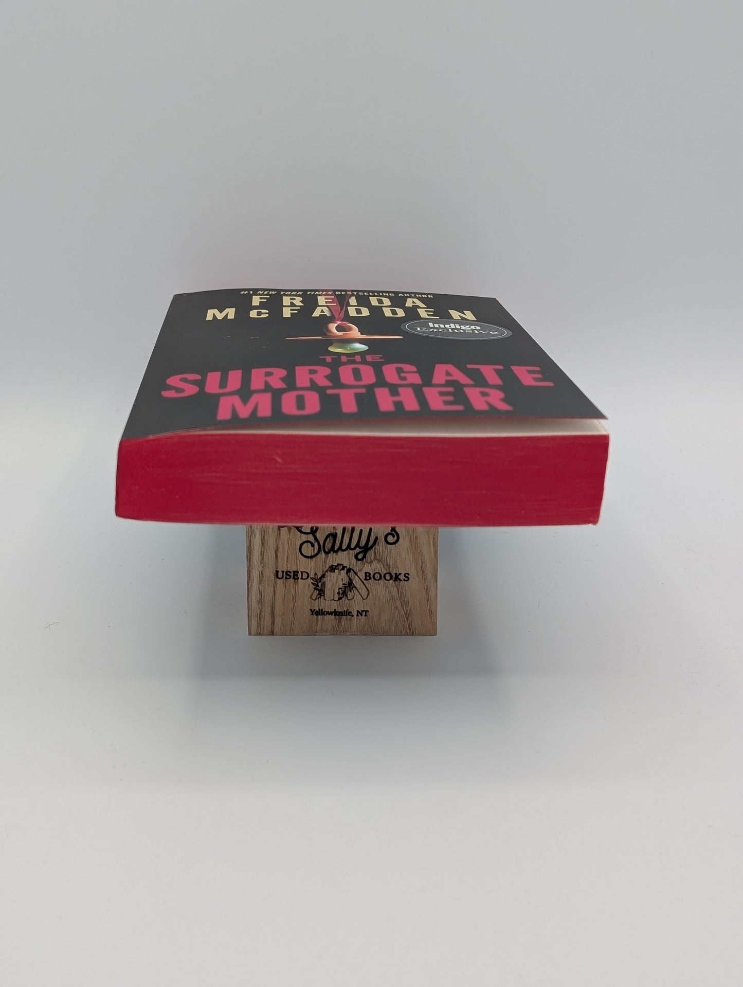The Surrogate Mother (Indigo Exdition)