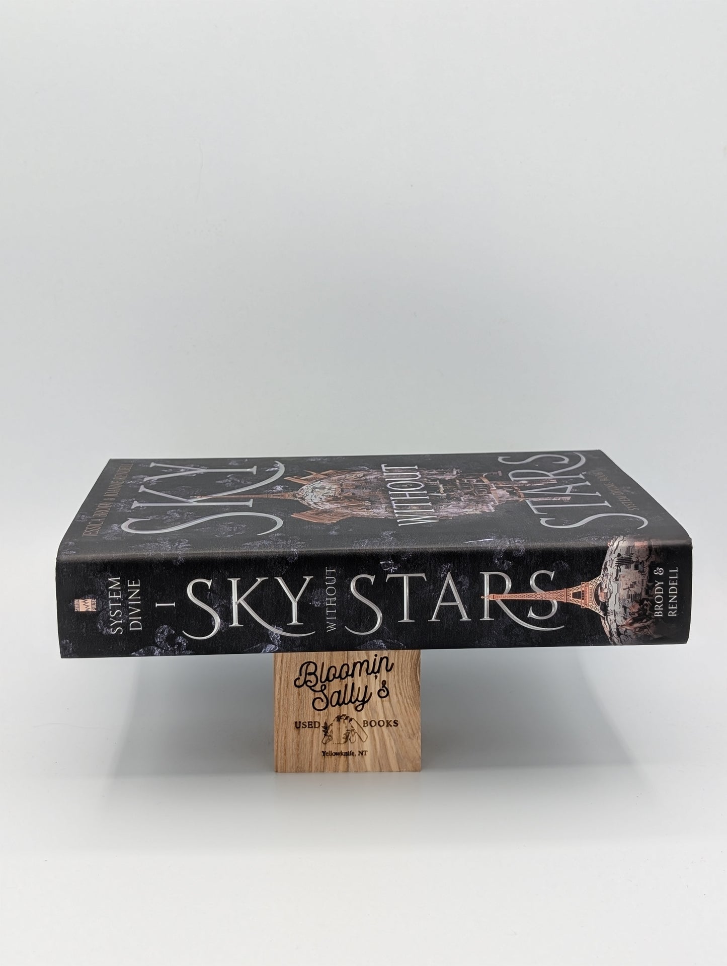 Sky Without Stars (1) (System Divine)