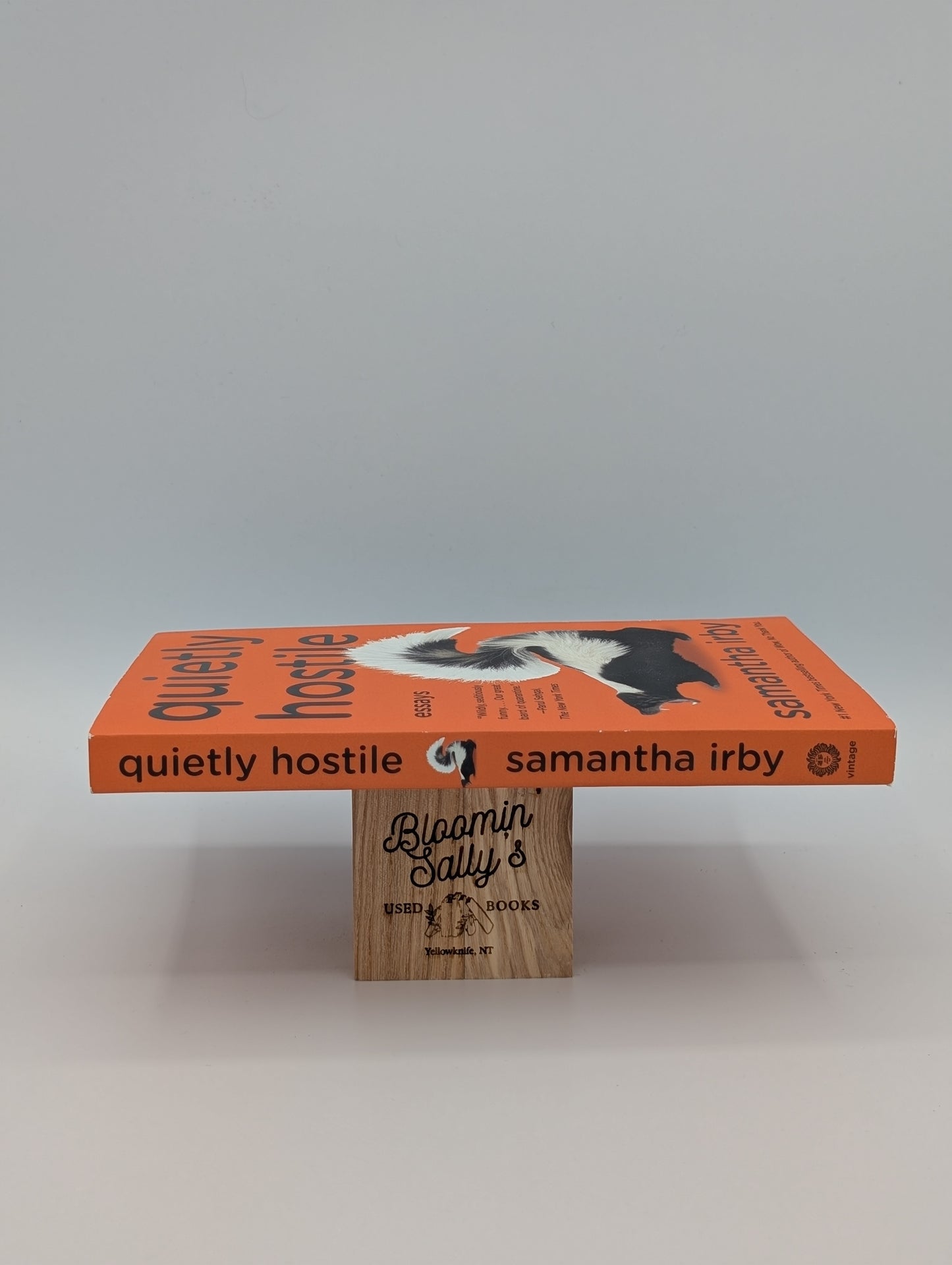 Quietly Hostile: Essays