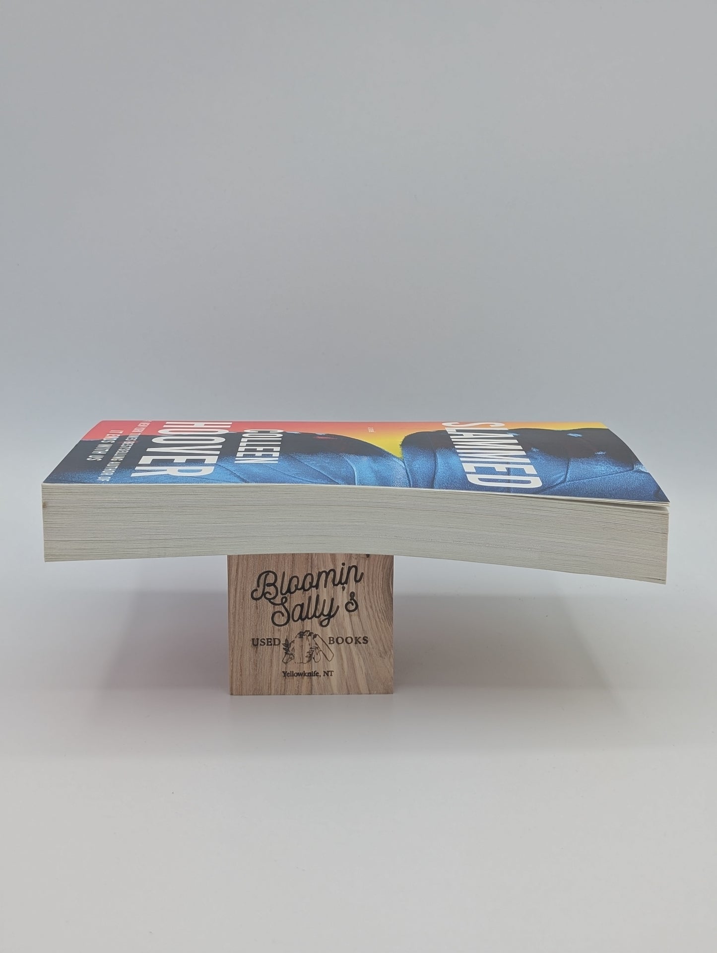 Slammed: A Novel (1)