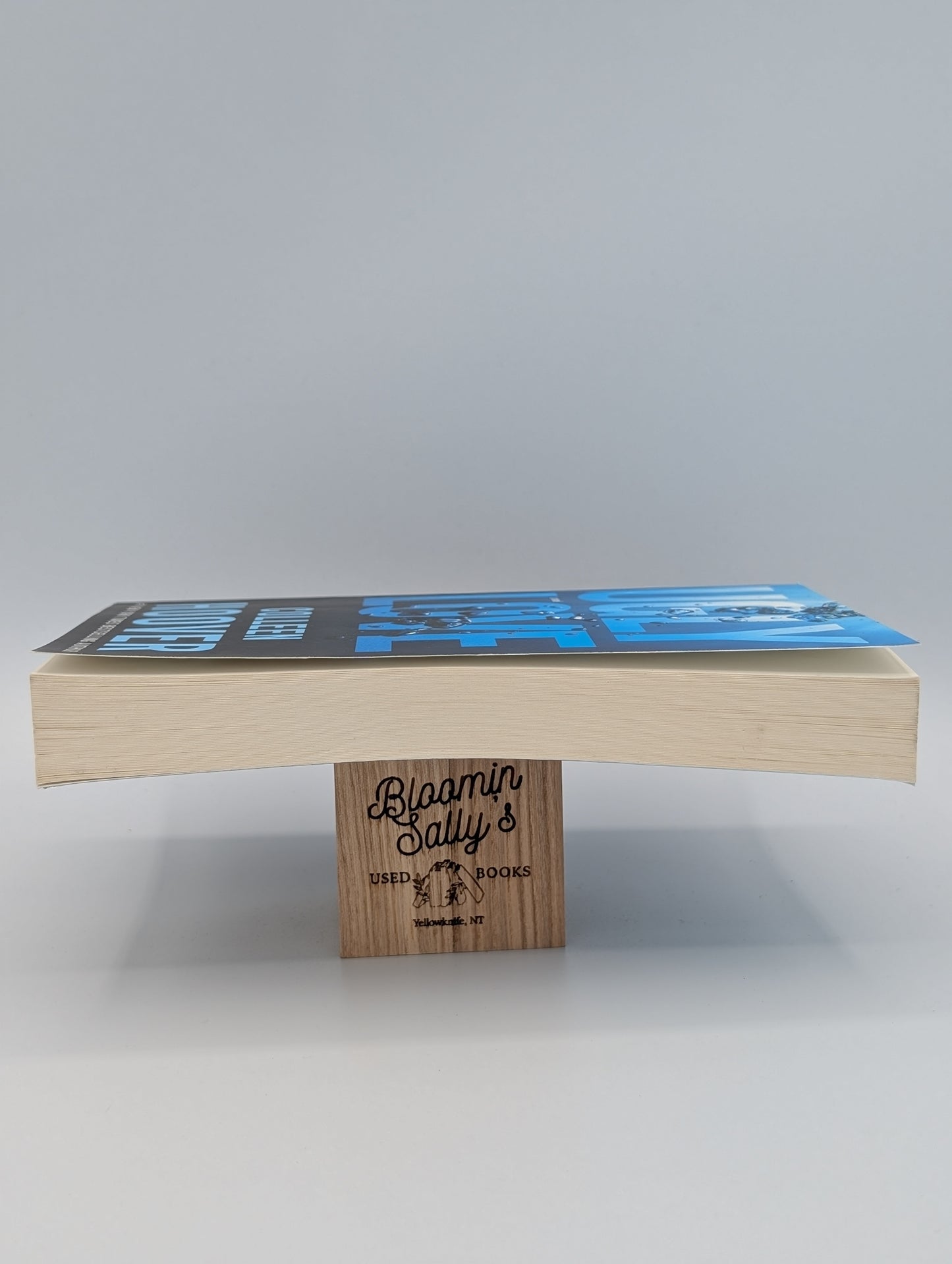 Ugly Love: A Novel (Very Good)