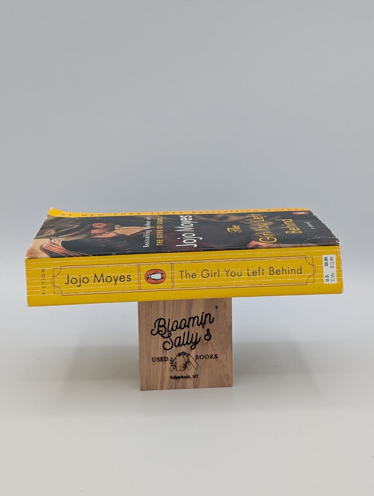 The Girl You Left Behind: A Novel