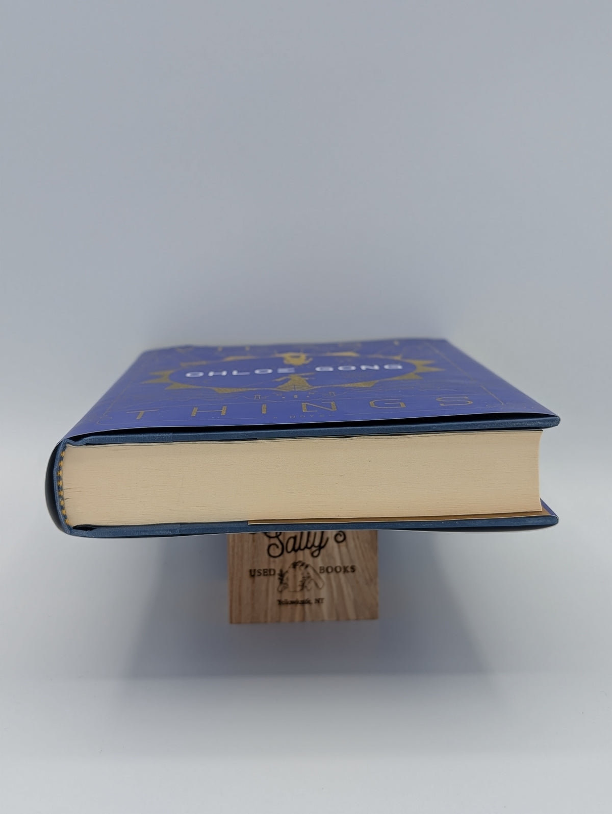 Vilest Things: A Novel (2) (Flesh & False Gods)