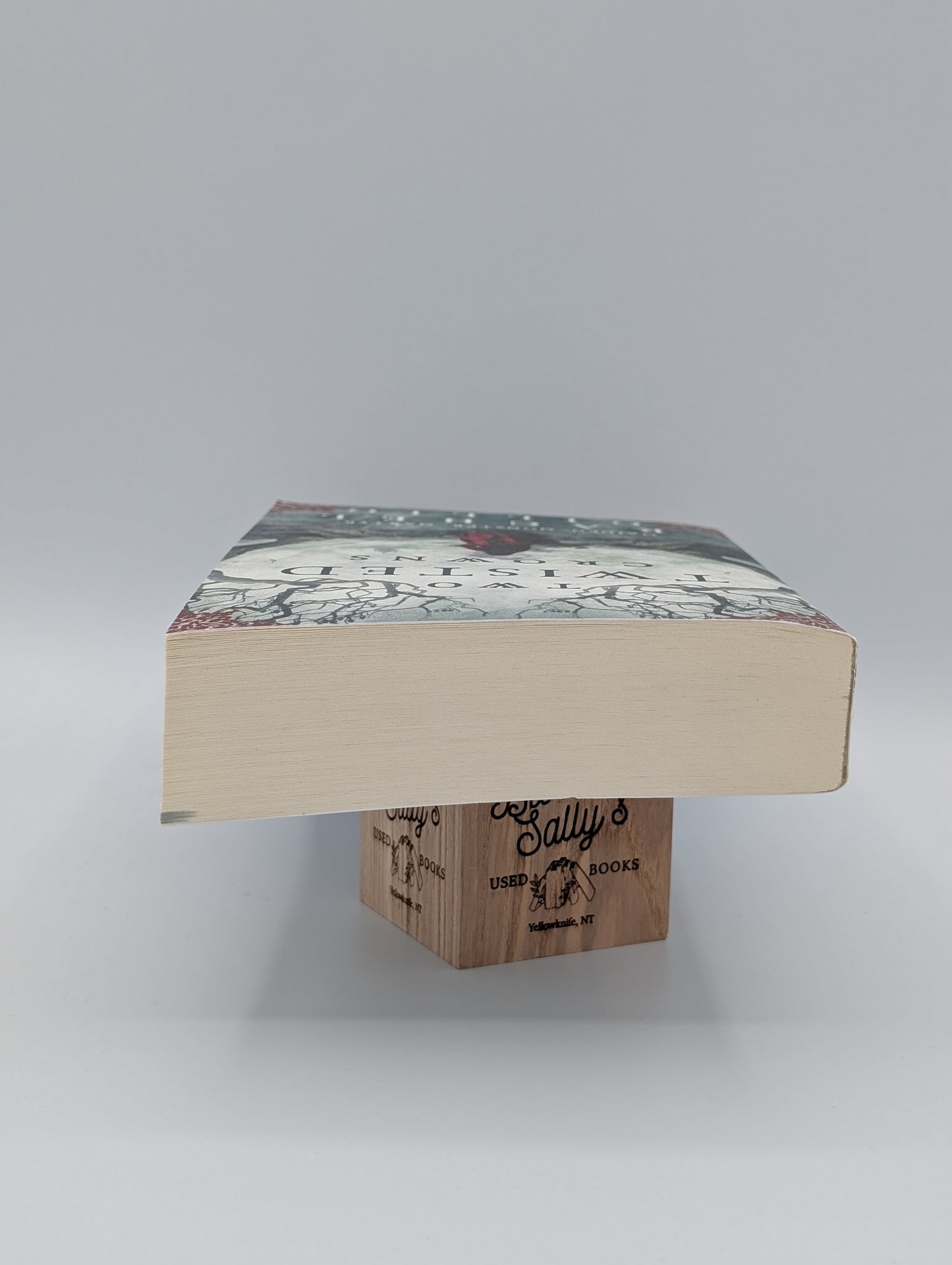 Two Twisted Crowns (The Shepherd King, 2)