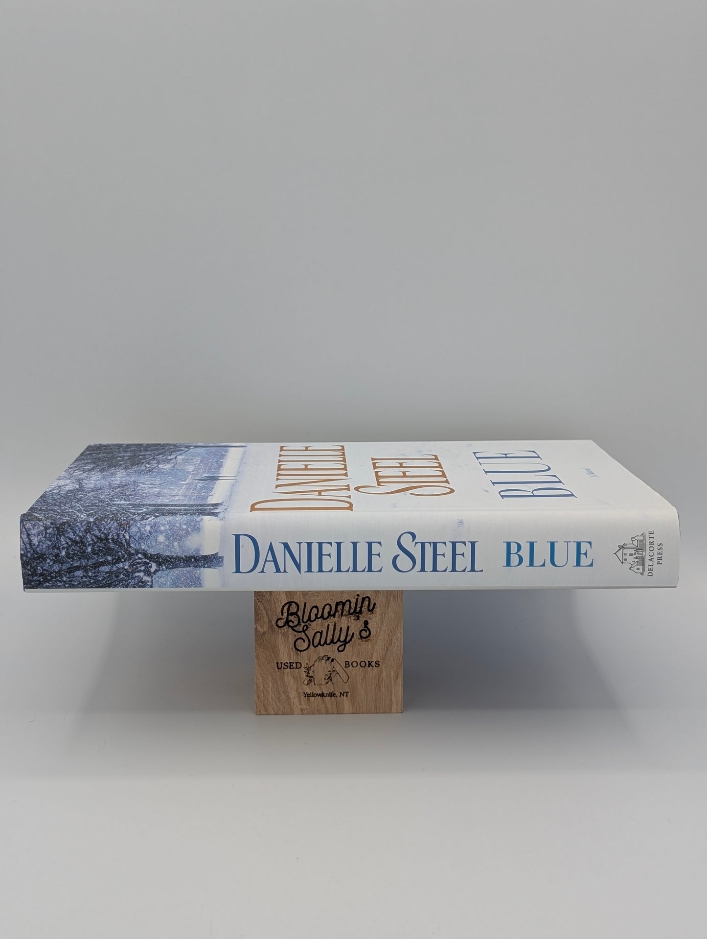 Blue: A Novel