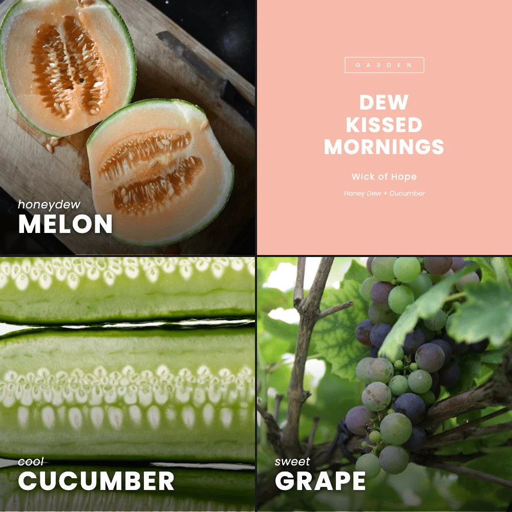 Dew Kissed Mornings Wax Melt | Honey Dew + Cucumber
