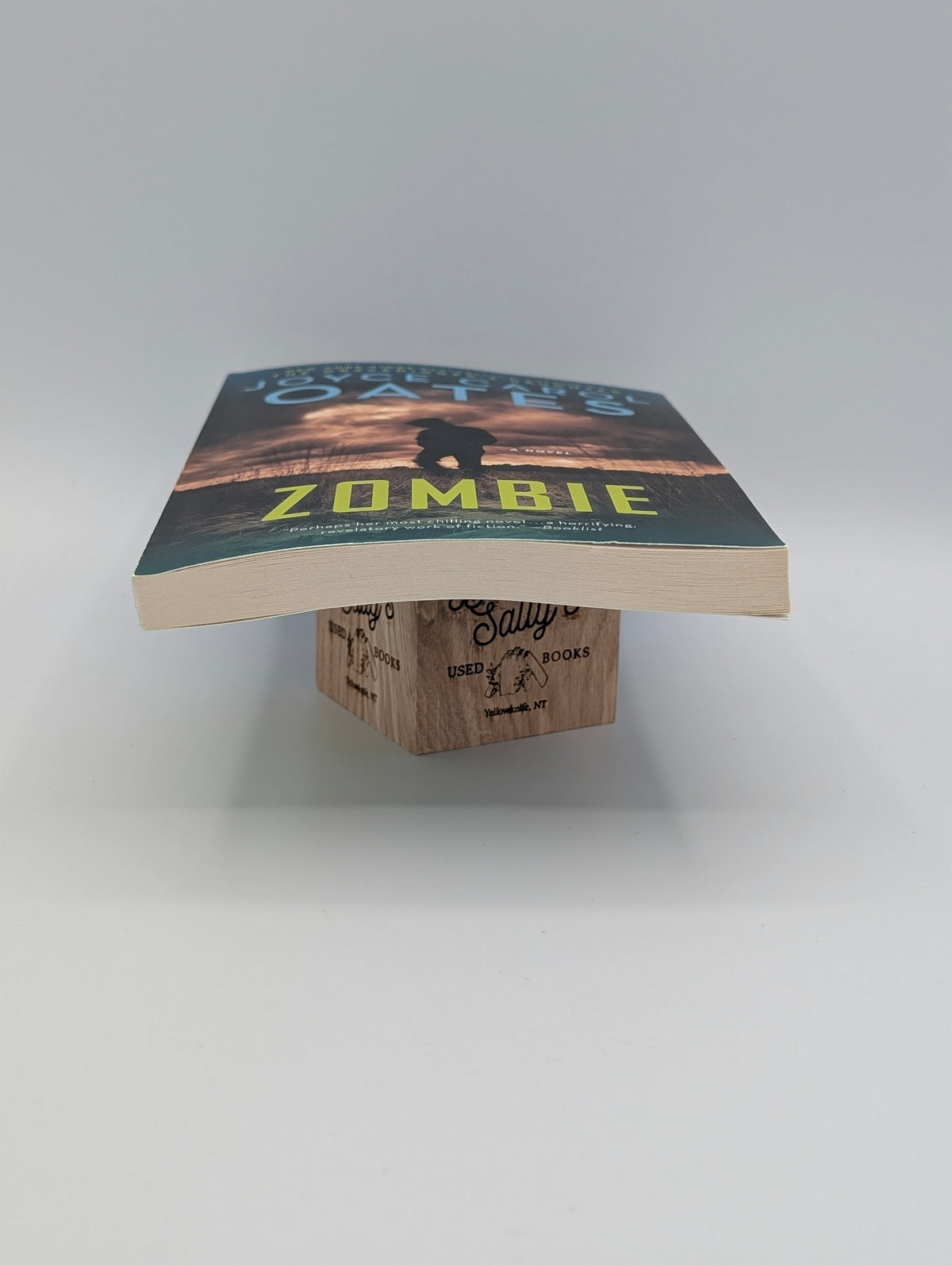 Zombie: A Novel