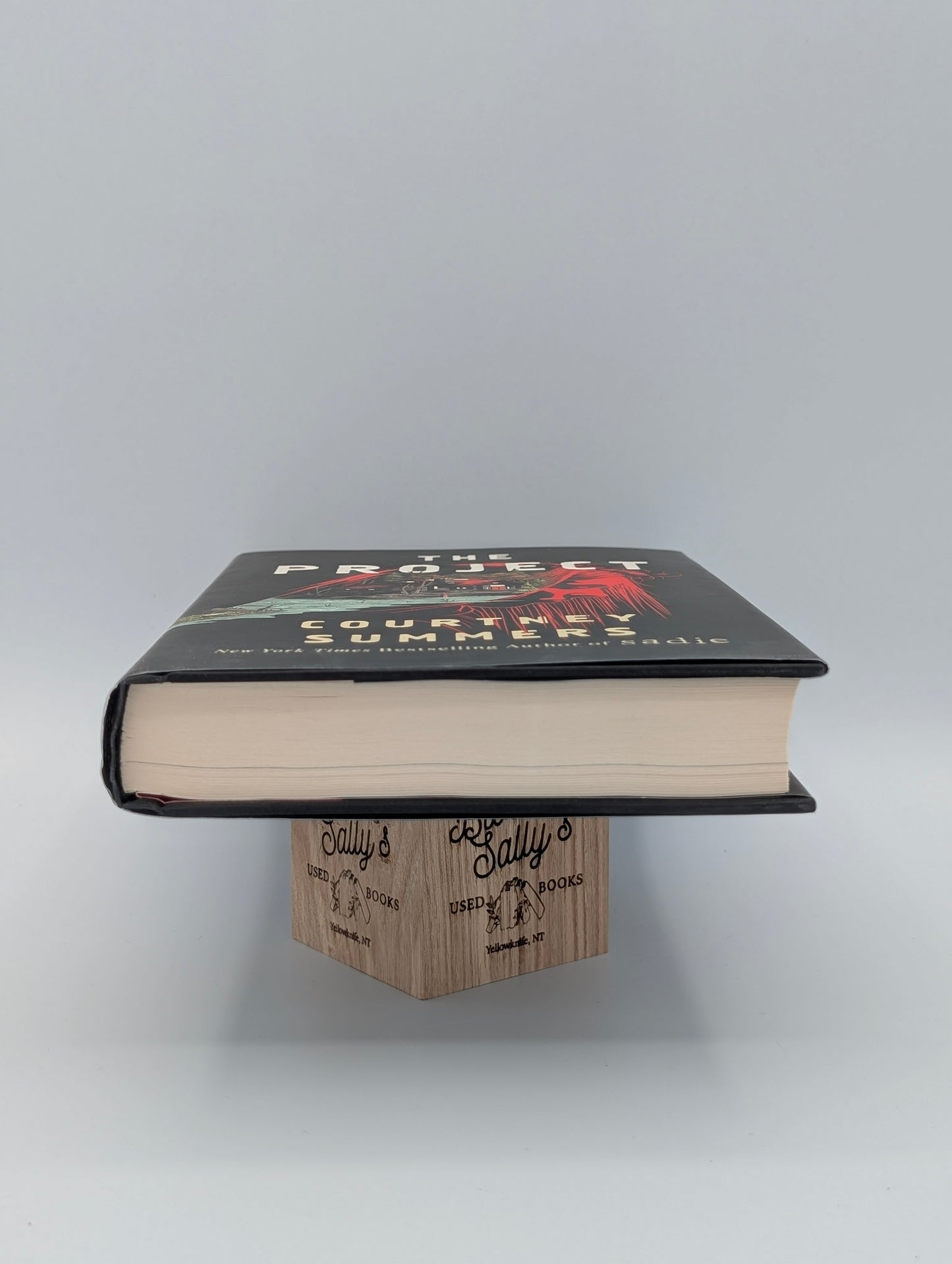The Project: A Novel