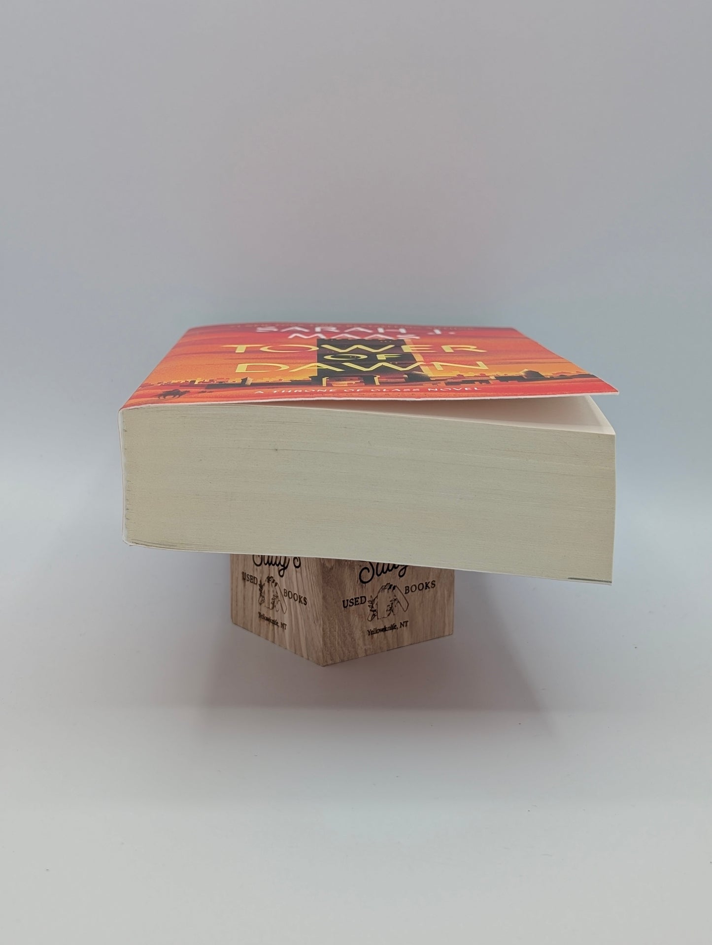 Tower of Dawn (Throne of Glass, 6)