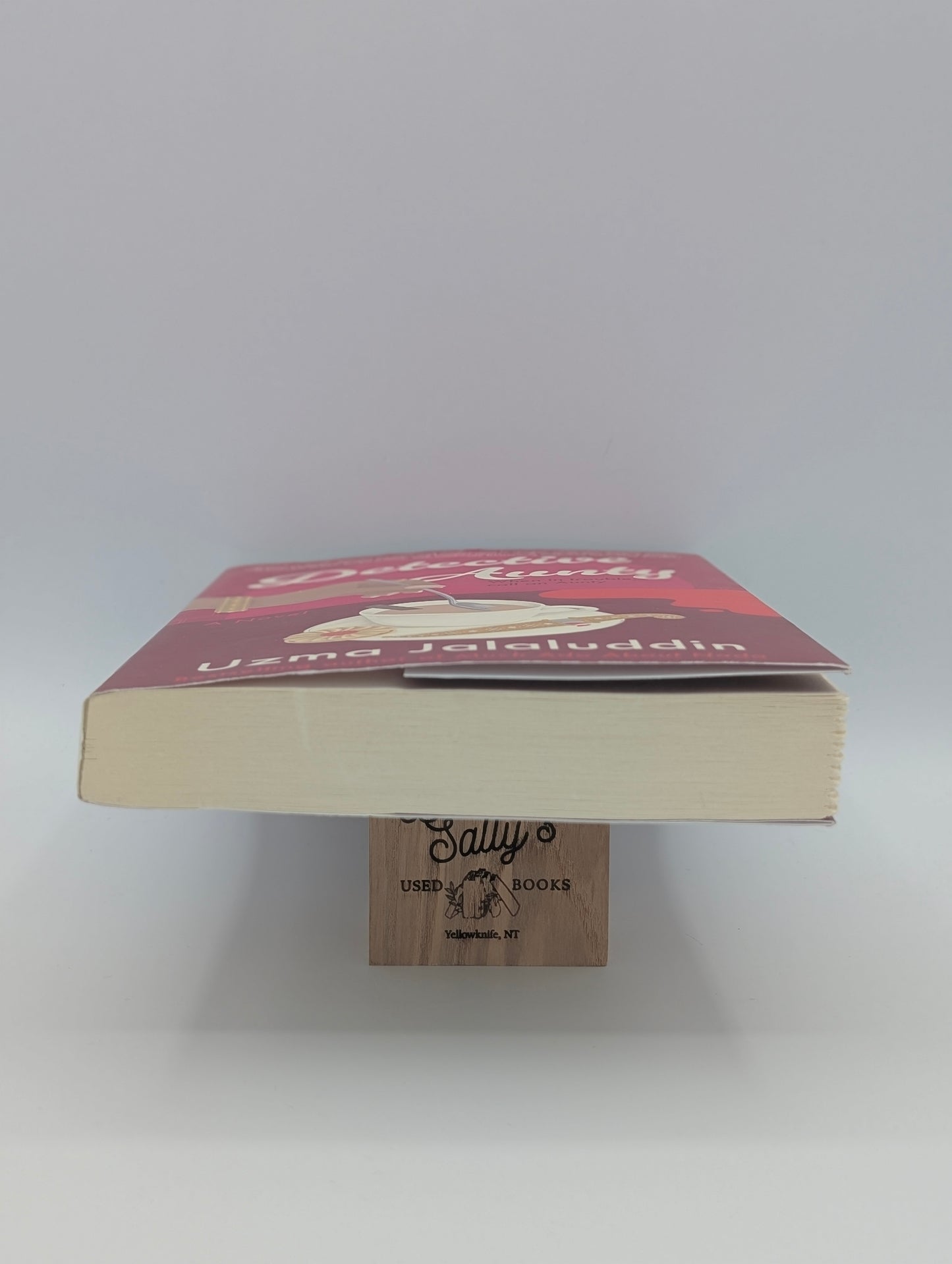 Detective Aunty: A Novel (Kausar Khan Investigates, 1)