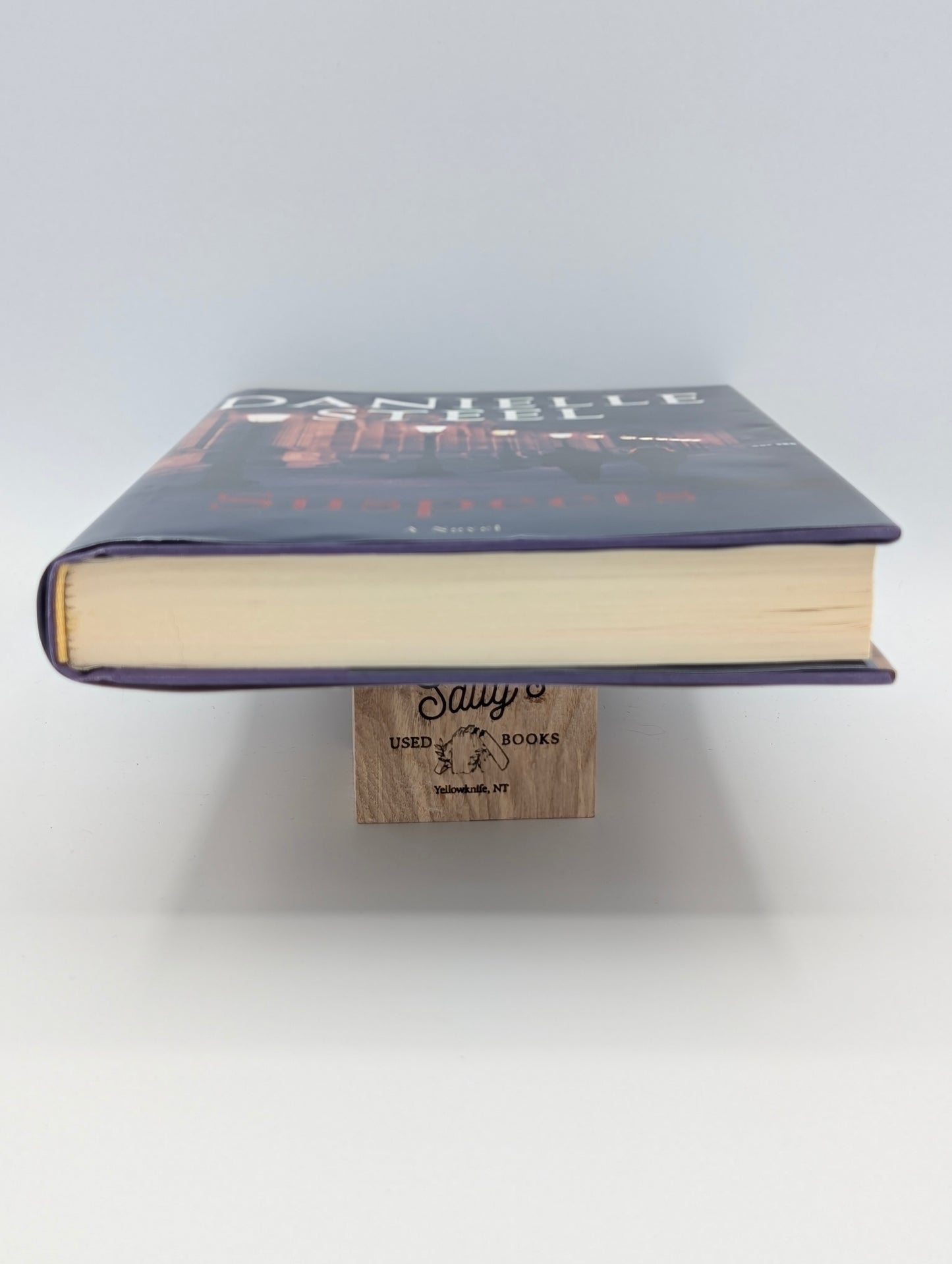 Suspects: A Novel