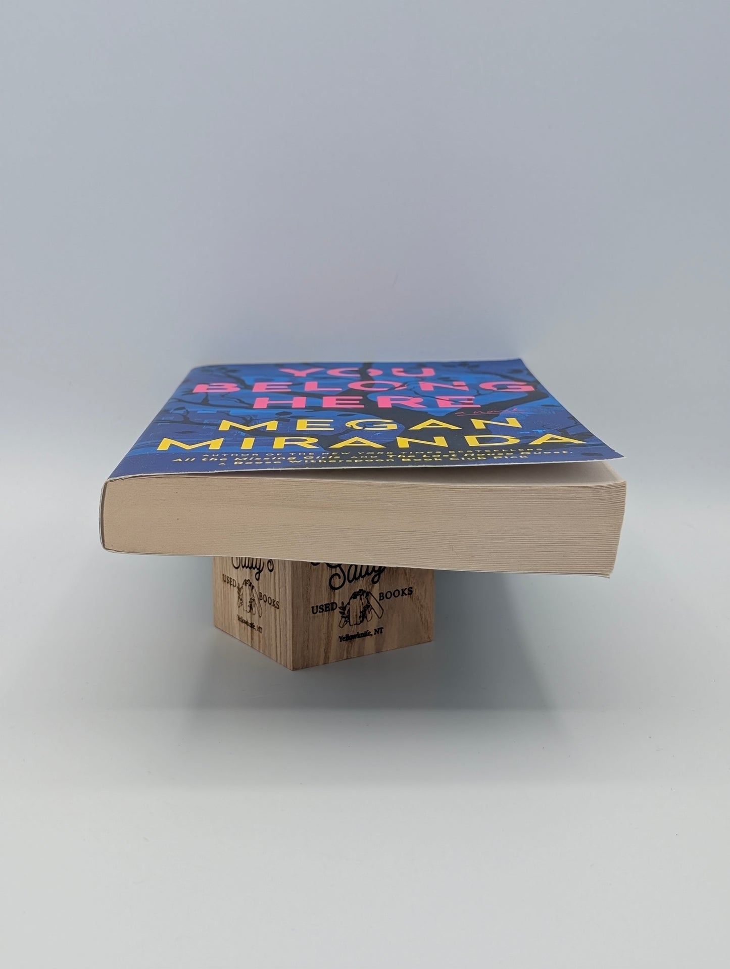 You Belong Here: A Novel
