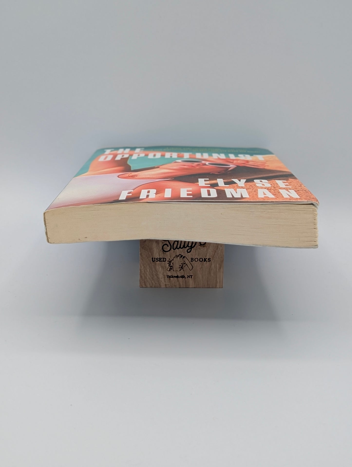 The Opportunist: A Novel