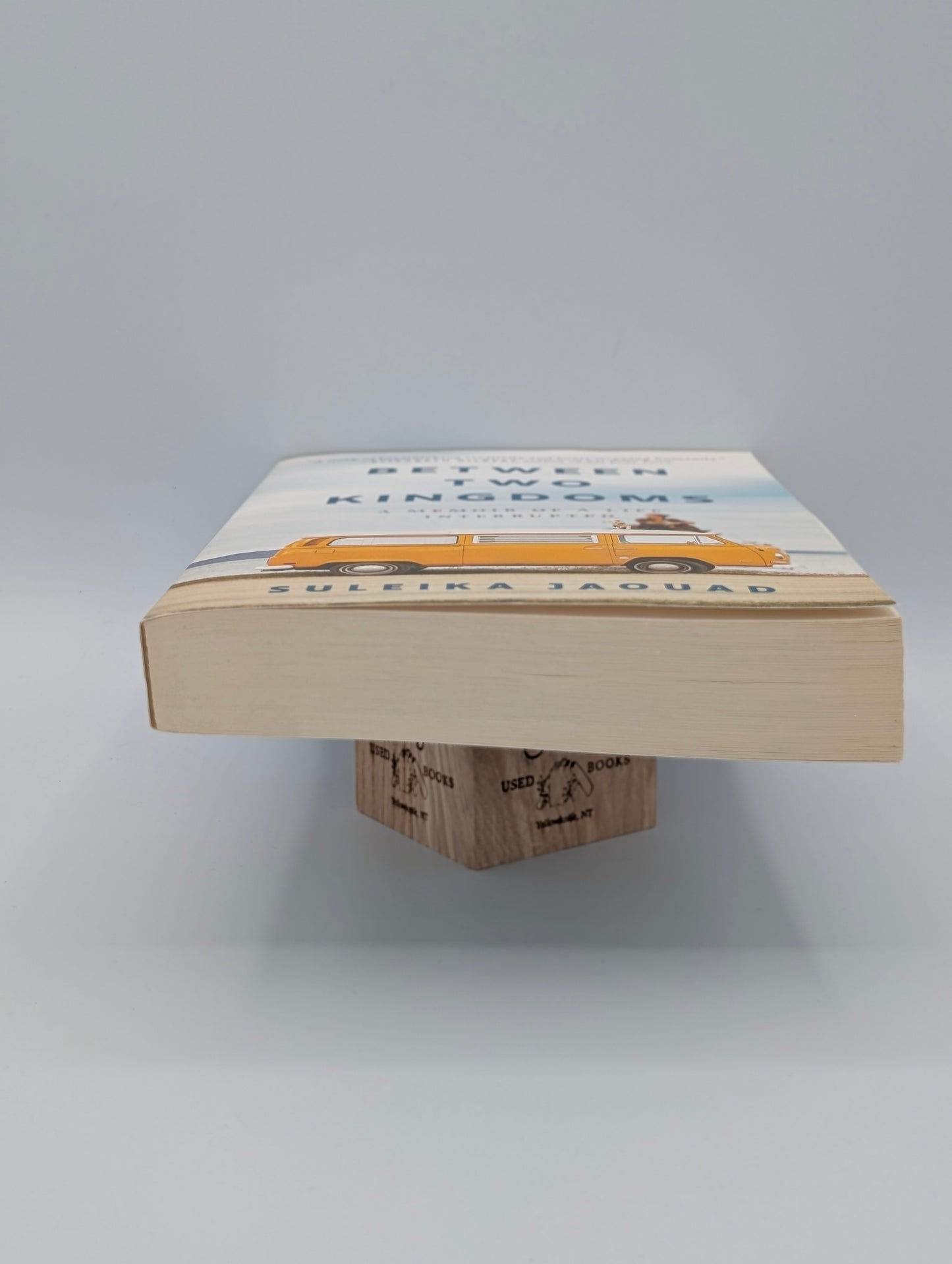 Between Two Kingdoms: A Memoir of a Life Interrupted