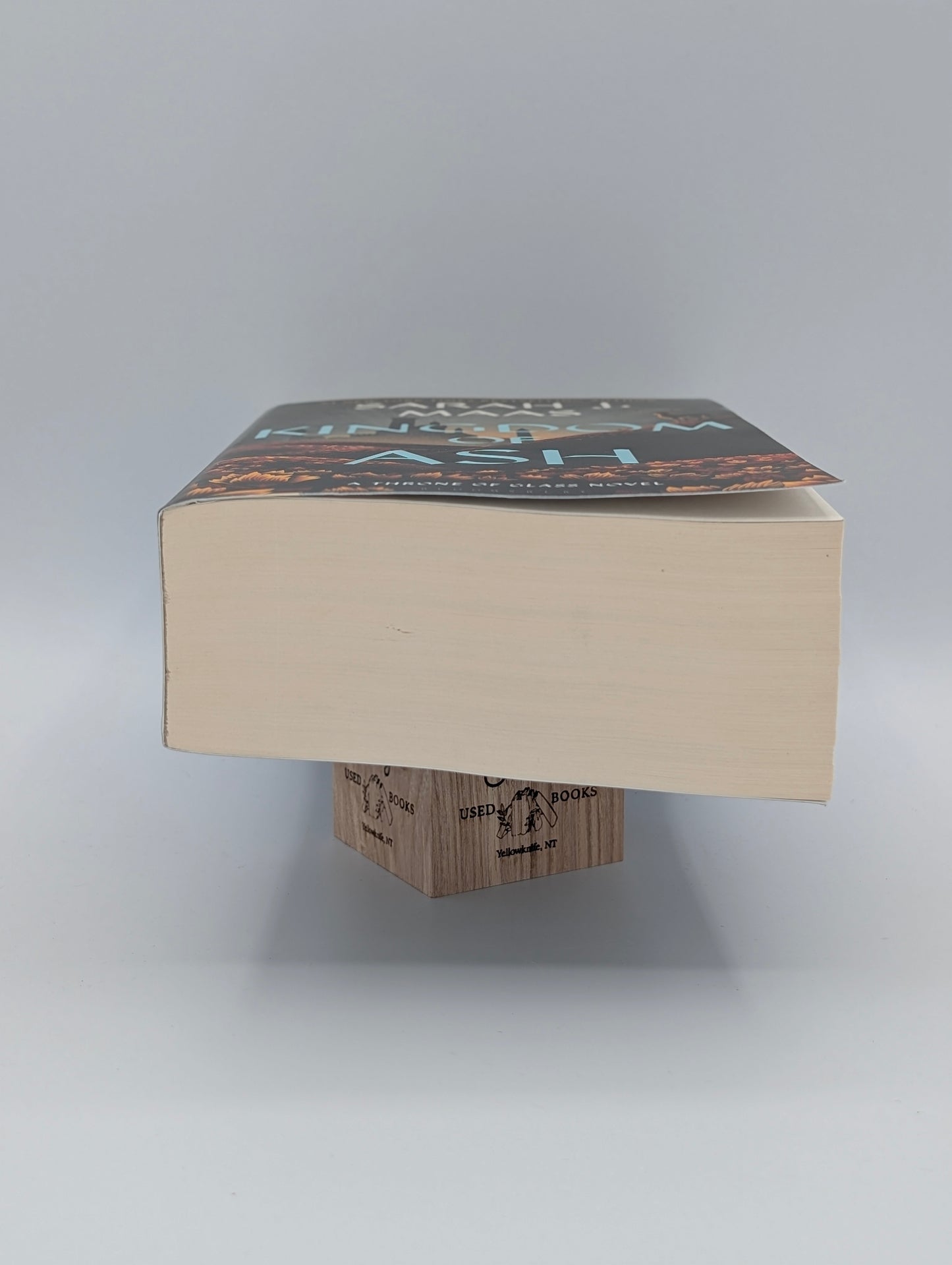 Kingdom of Ash (Throne of Glass, 7)