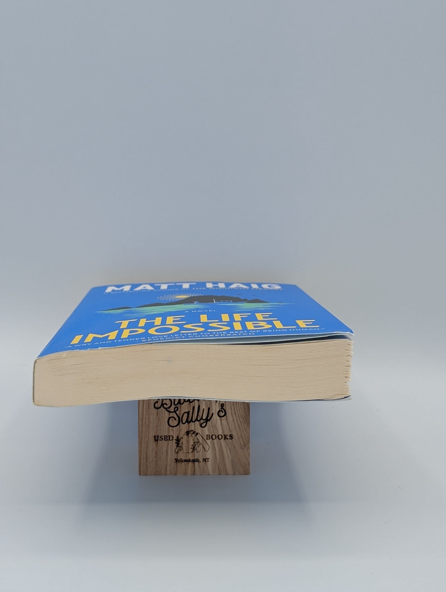 La vie impossible : un roman