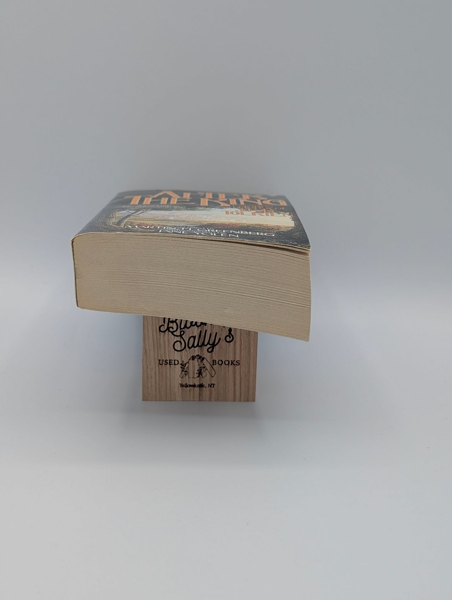 After the King: Stories In Honor of J.R.R. Tolkien