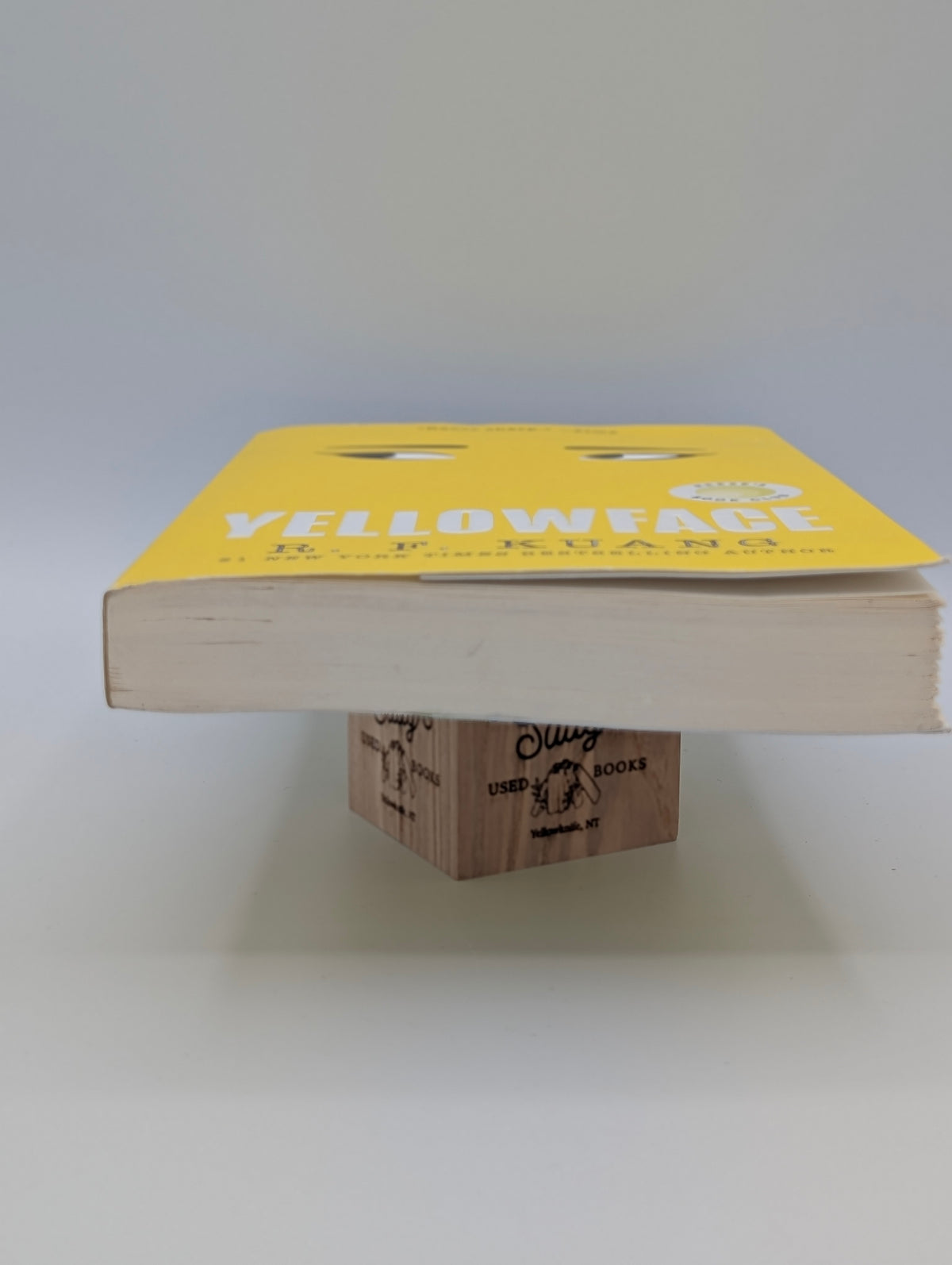 Yellowface: A Novel