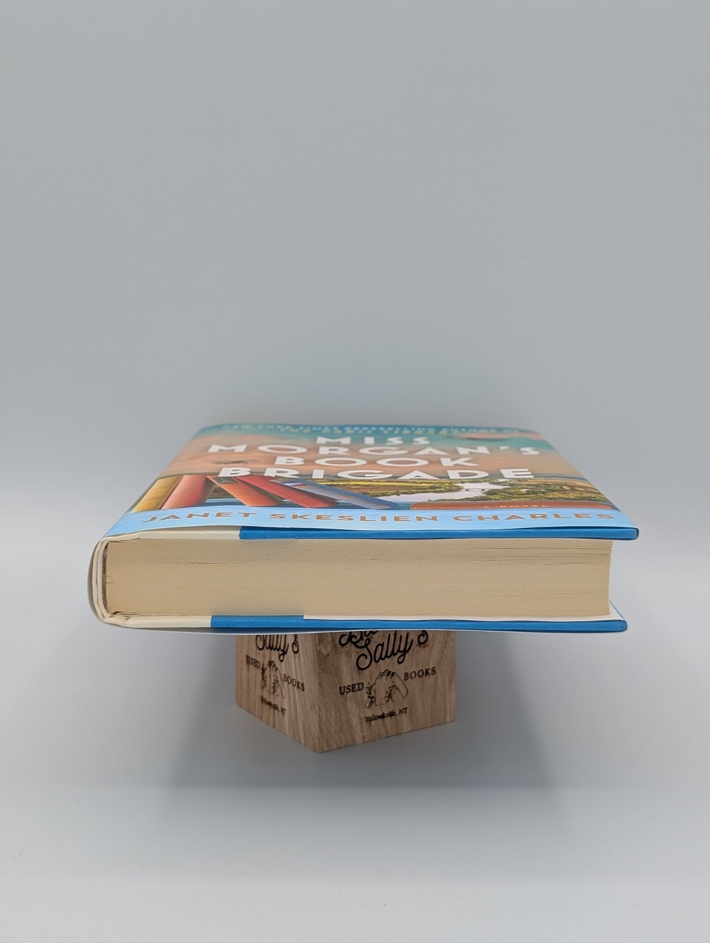 Miss Morgan's Book Brigade: A Novel